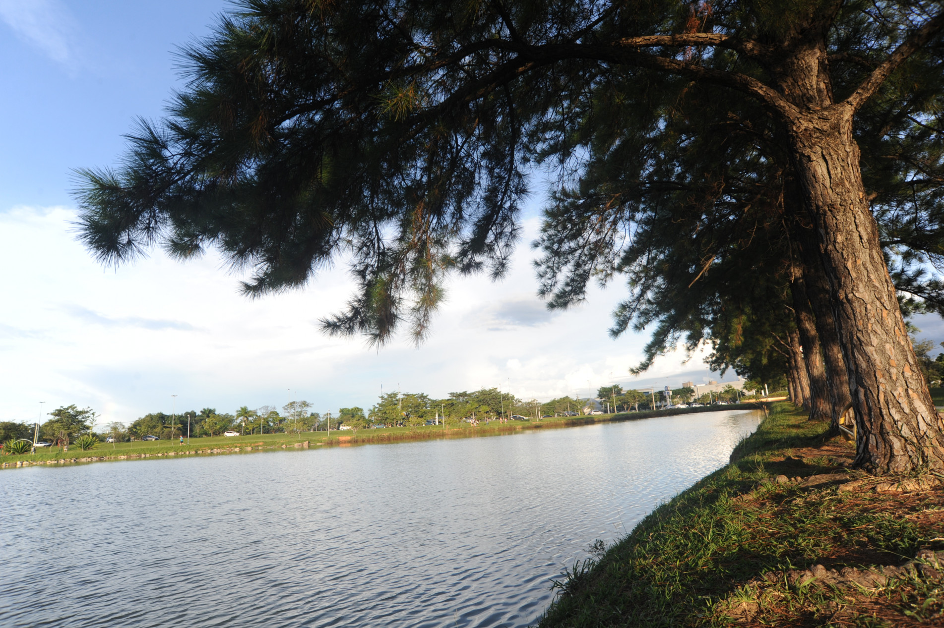 Outono começa nesta segunda-feira (20) e termina em 21 de junho