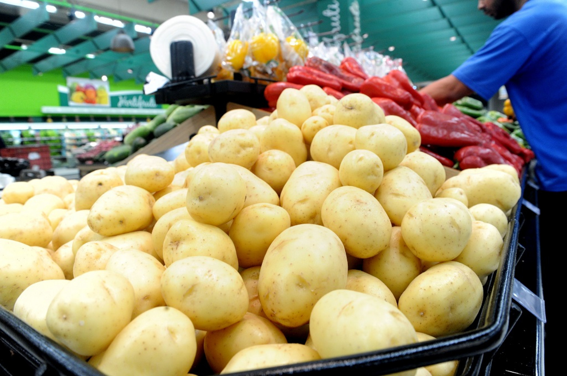 Boas condições climáticas favorecem produção de vegetais 