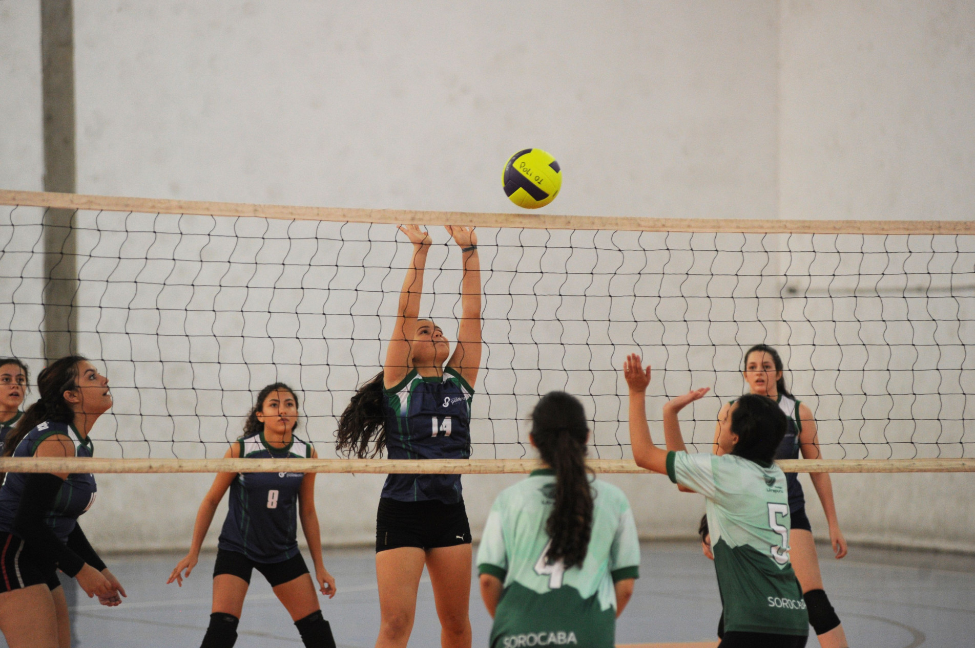 Voleibol Feminino