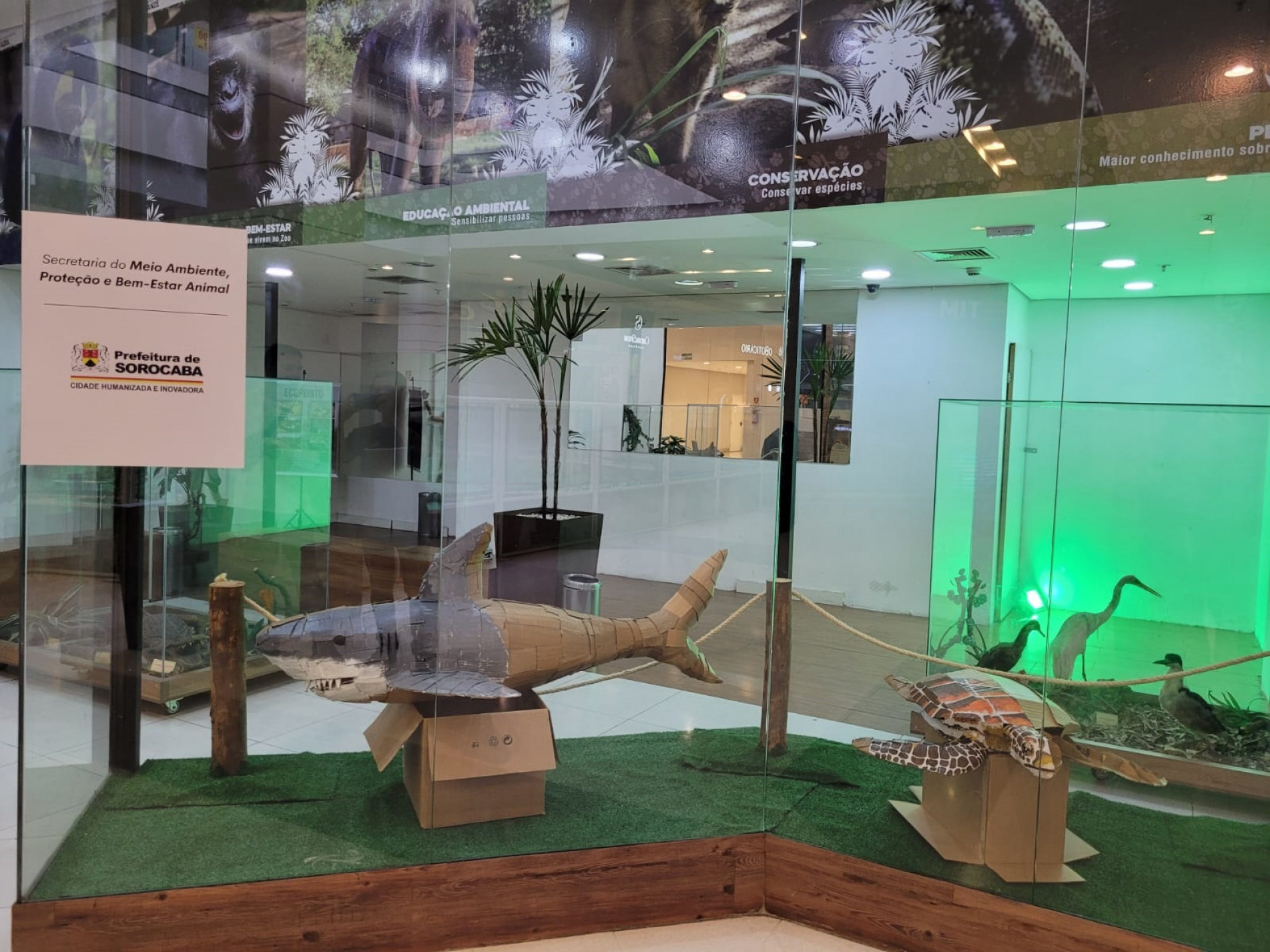 Exposição tem diferentes espécies de animais confeccionadas em papelão