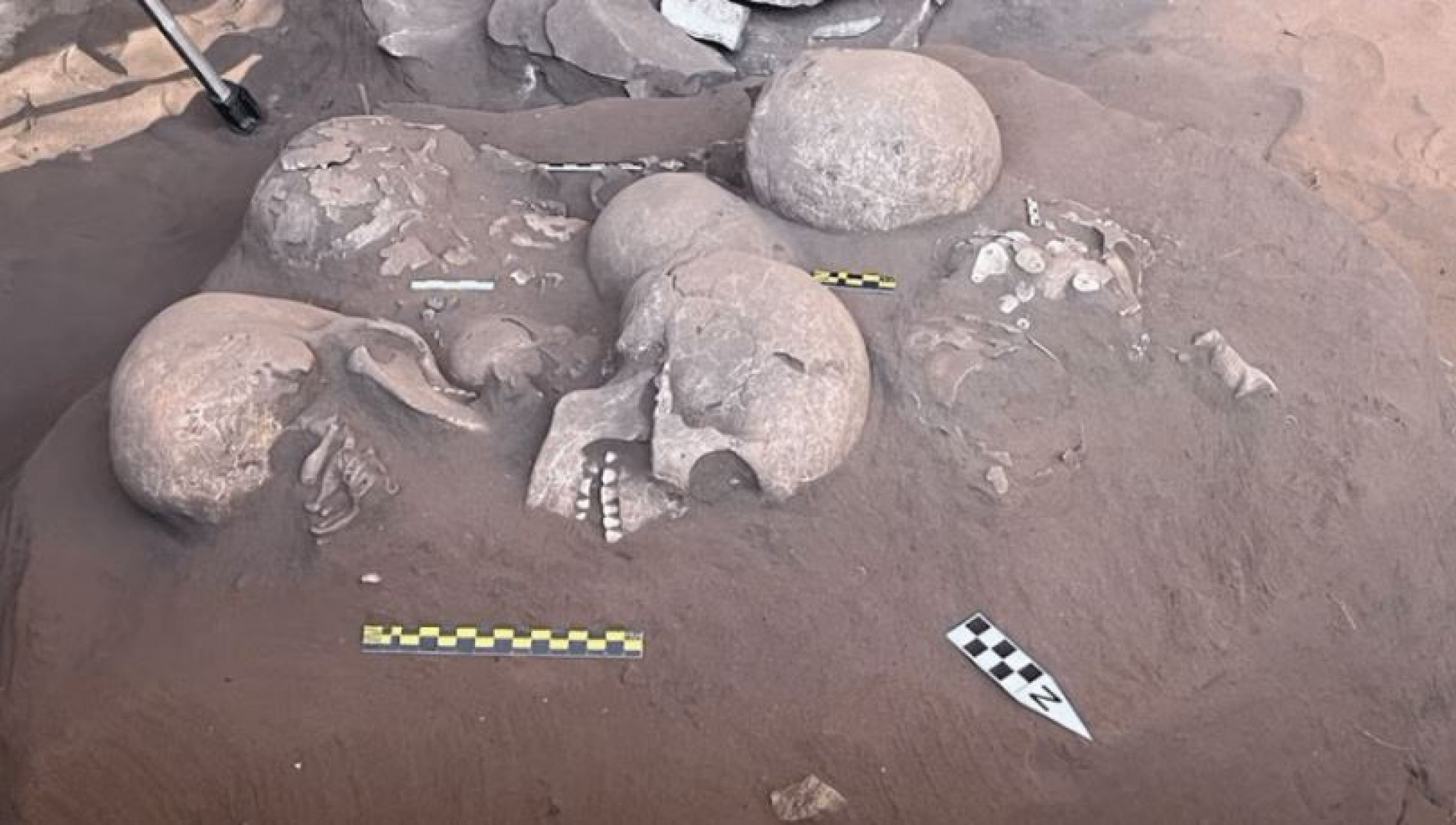 Fóssil encontrado em Serranópolis (GO) pode ter quase 12 mil anos
