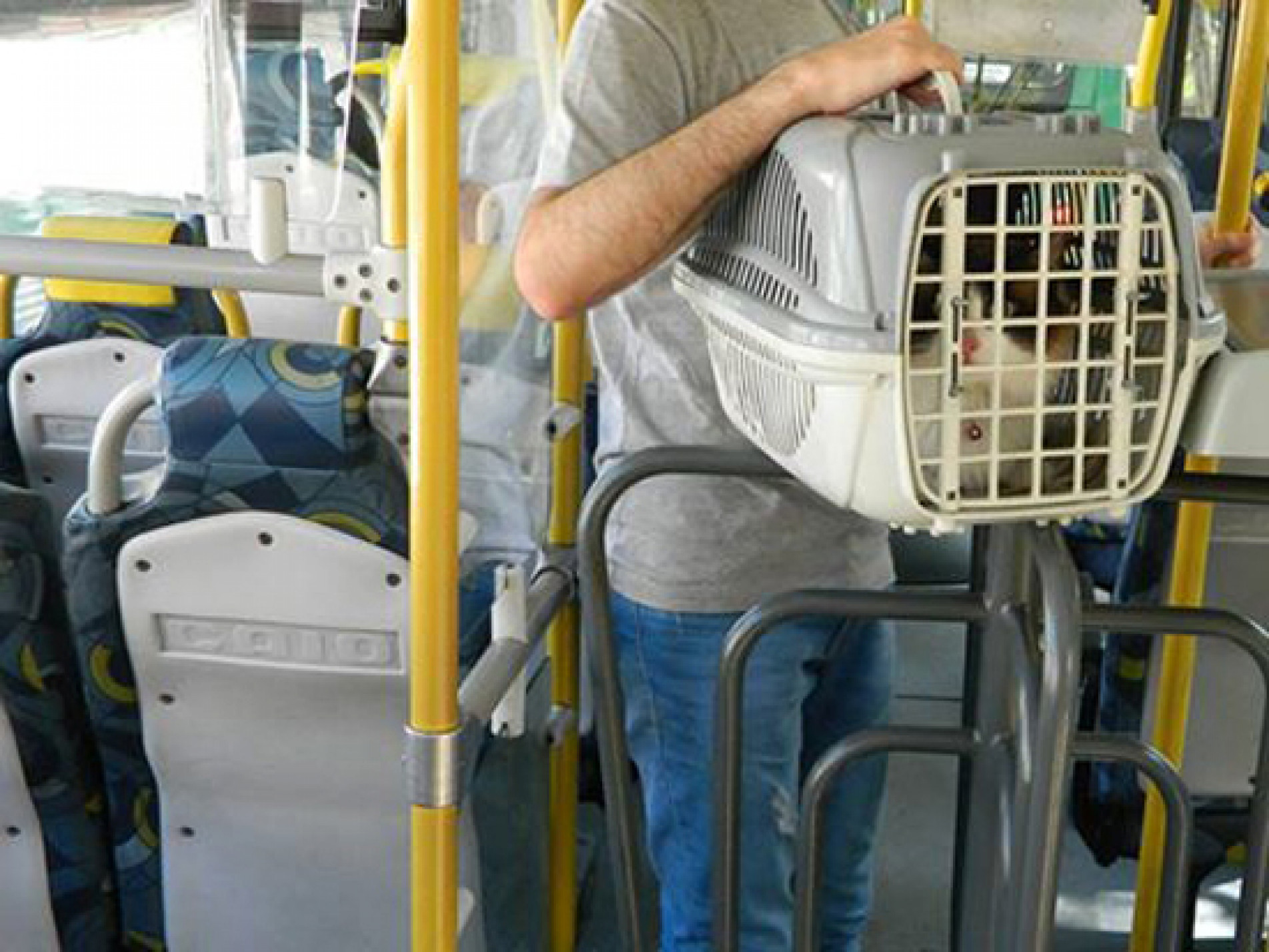 Texto prevê medidas de higiene específicas e proíbe viagem em ônibus nos horários de pico