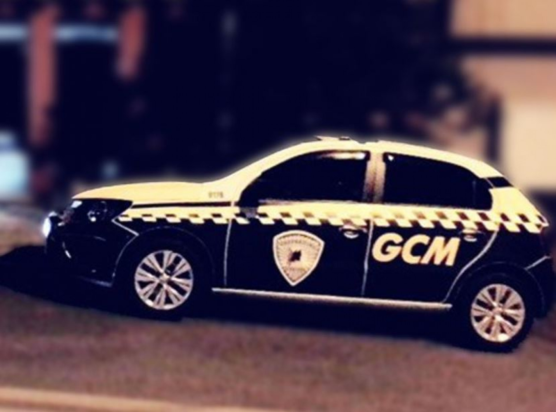 GCM participou da ação 