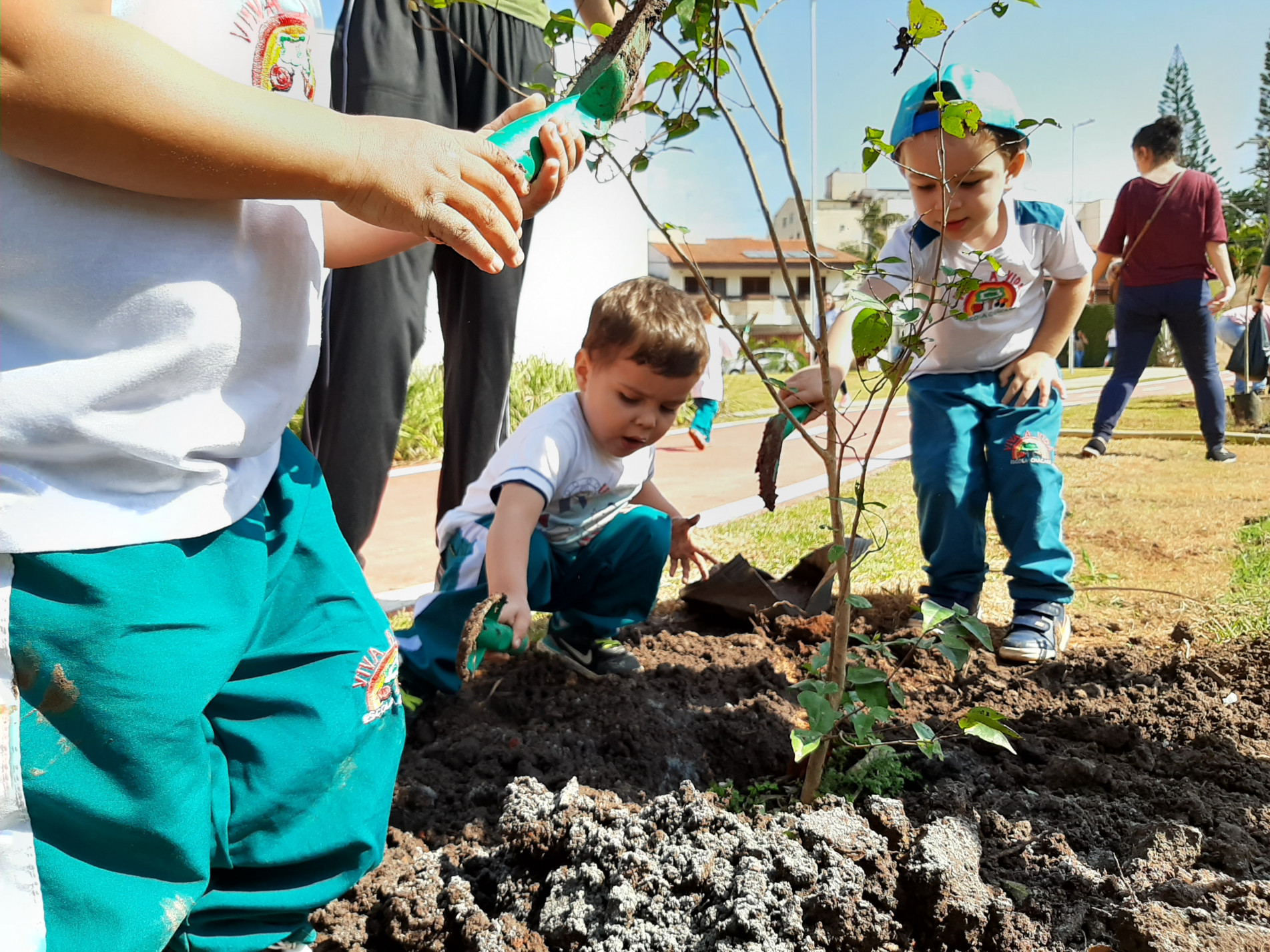 De acordo com a Secretaria do Meio Ambiente, mais de 13,5 mil árvores foram plantadas apenas de 2021 até o momento
