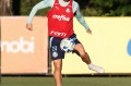 Verd&atilde;o confia na boa fase de Raphael Veiga - CESAR GRECO / SE PALMEIRAS