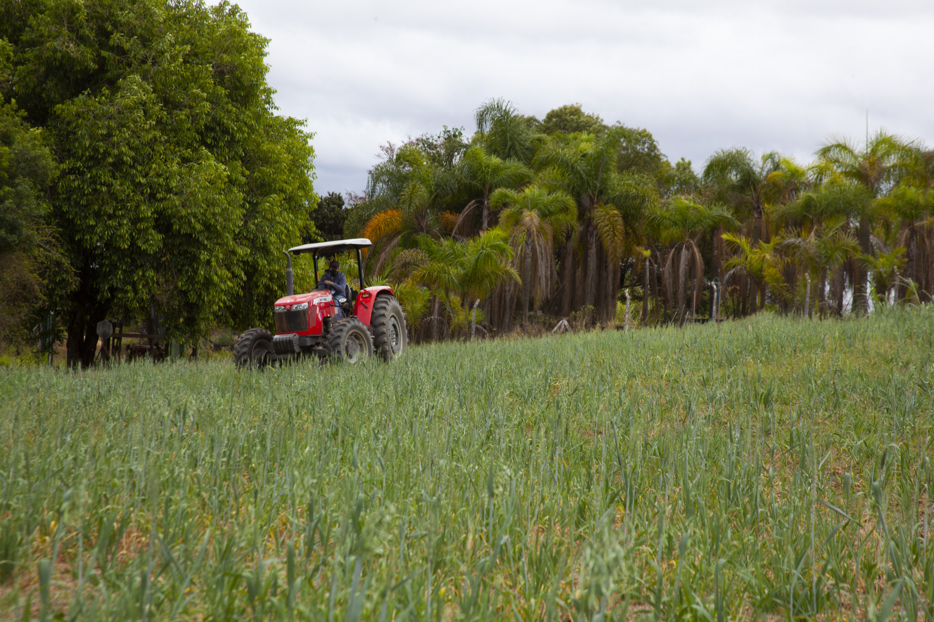 Área do Centro de Estudos e Práticas Agrícolas da Uniso