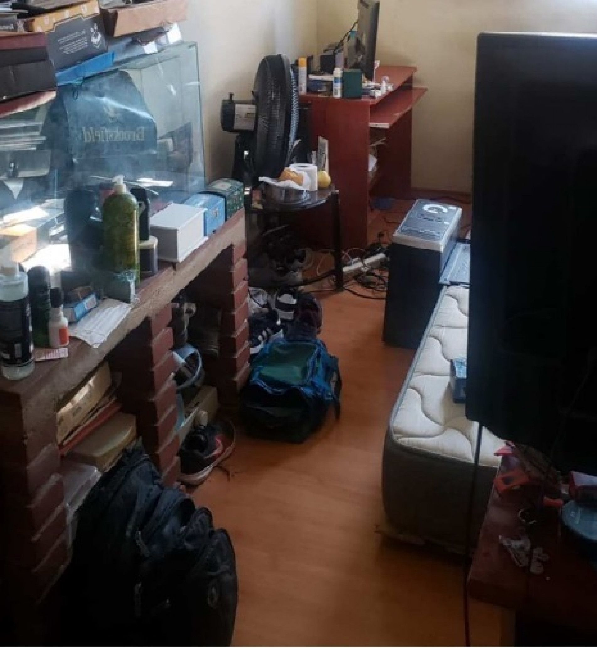 Polícia Federal cumpre mandado de busca para reprimir crime de pornografia infantil