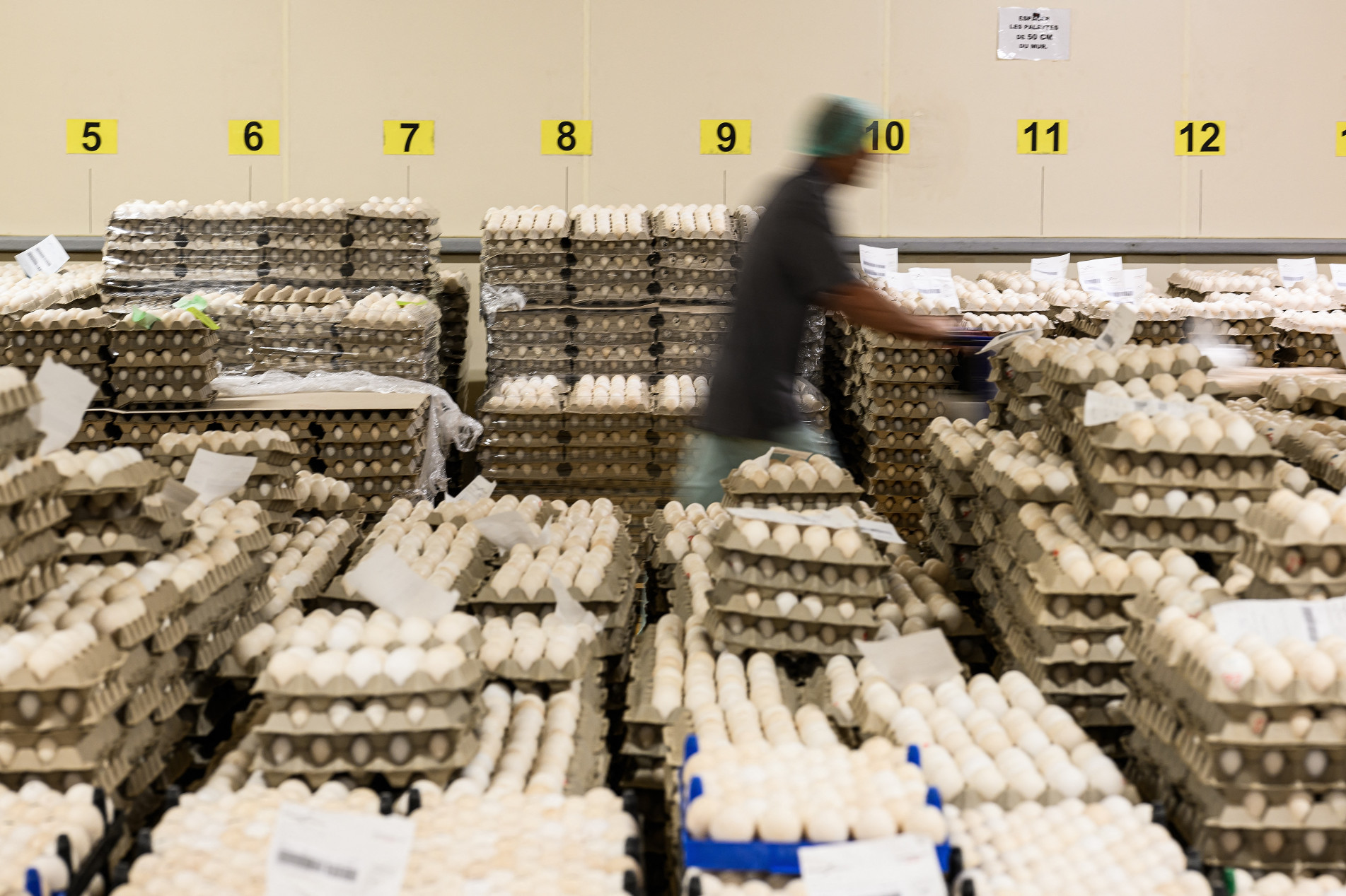 Produtores rurais franceses pressionam políticos