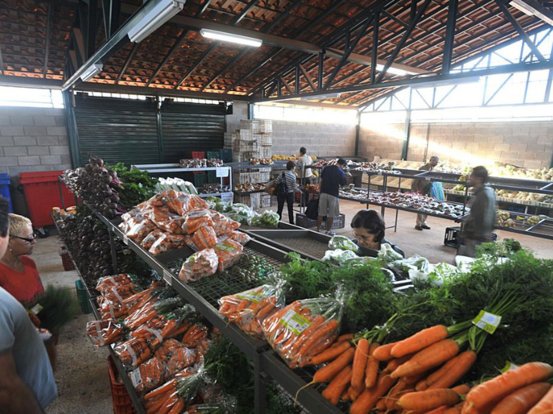 Produtos tiveram redução média de 21,23% e 17,09%, respectivamente