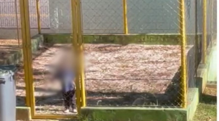 Segundo o advogado da família do menino, ele ficou trancando no cercado por cerca de uma hora 