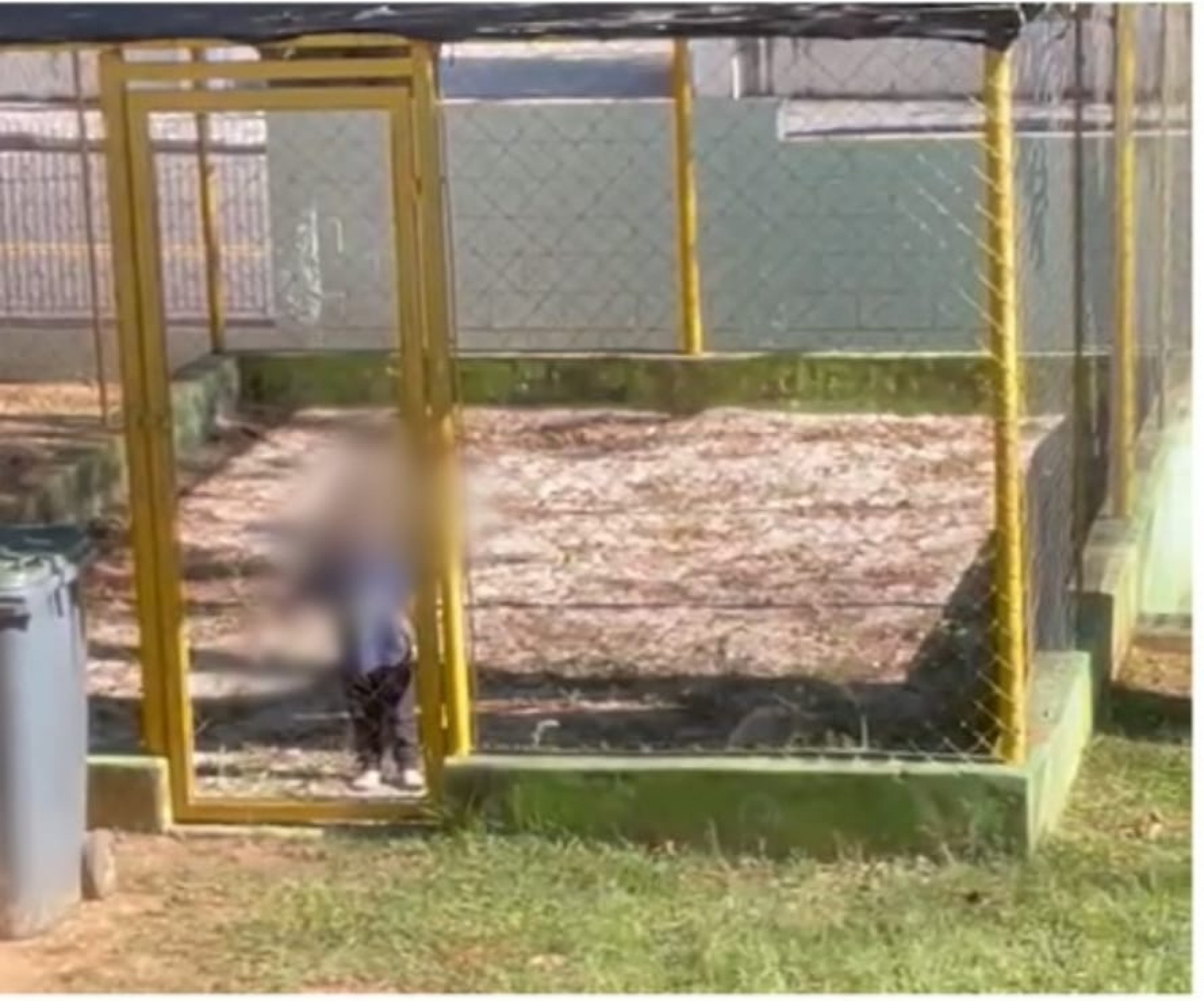 Segundo o advogado da fam&iacute;lia do menino, ele ficou trancando no cercado por cerca de uma hora 