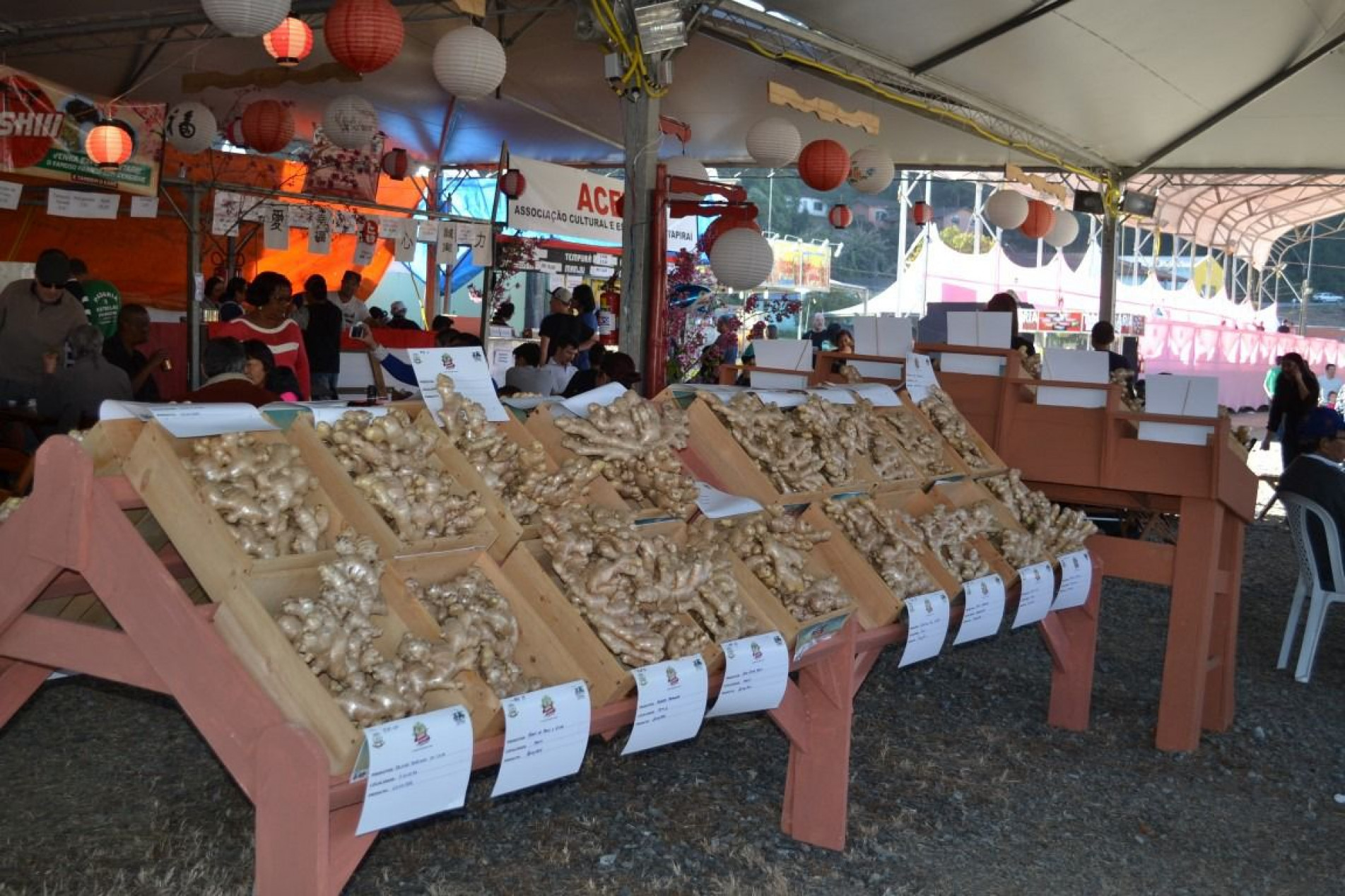 Produtores de gengibre da cidade e região também expõem seus produtos aos visitantes