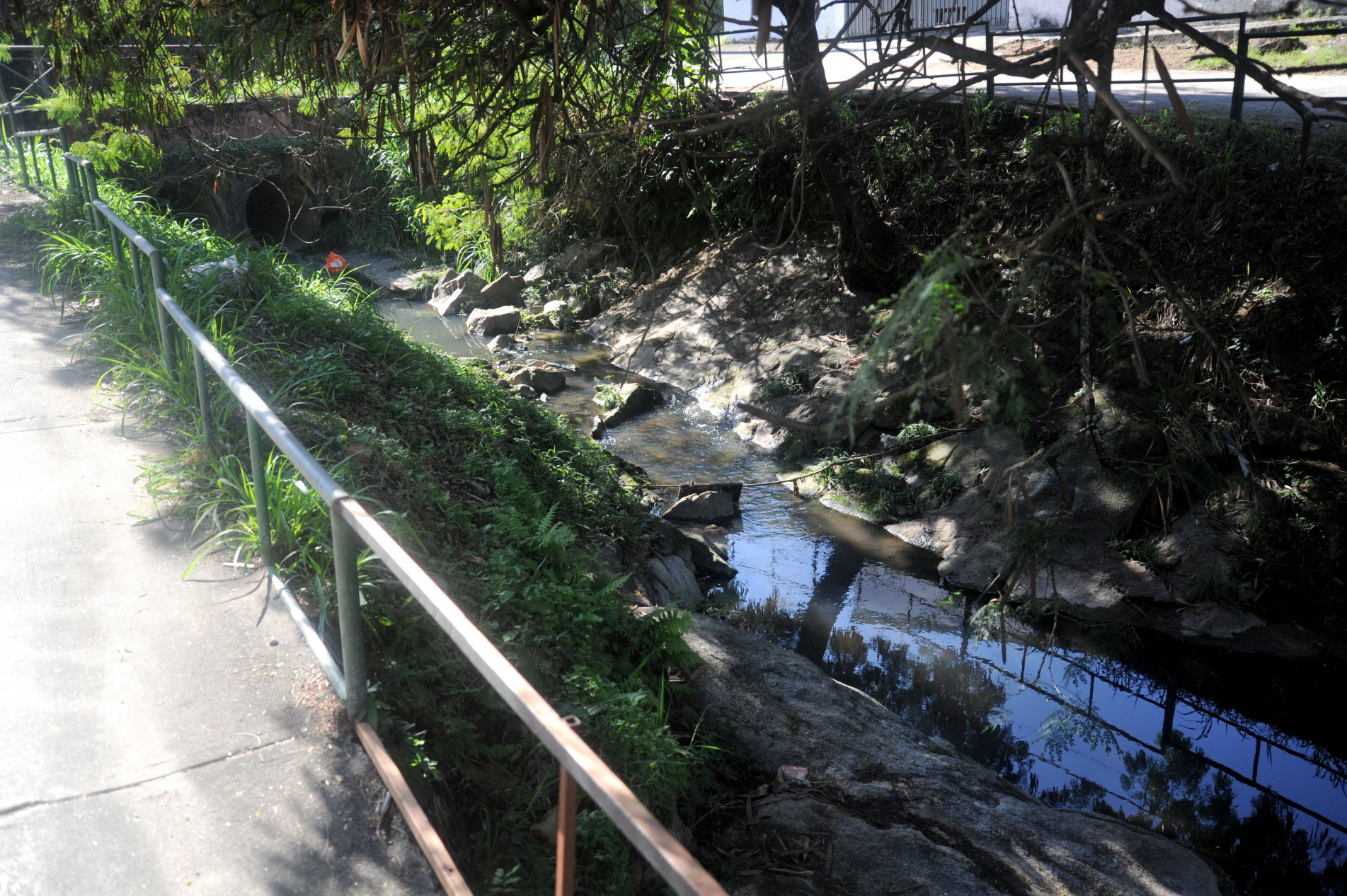 População acredita que ocorre descarte irregular de esgoto residencial na região da vila São João