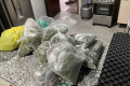 No local, os policiais tamb&eacute;m encontraram 17 casos de maconha pronta parta uso - Divulga&ccedil;&atilde;o/Pol&iacute;cia Civil