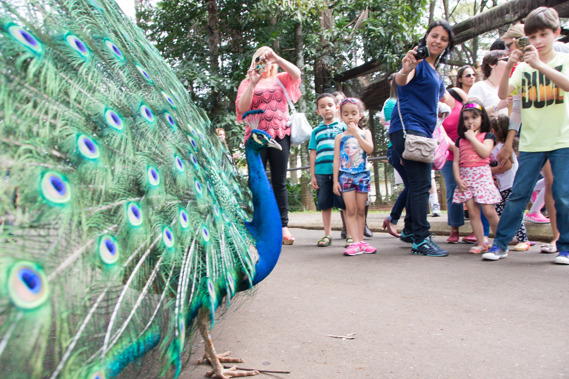 Quinzinho de Barros oferecerá programação diferenciada para toda a família no zoológico e também no museu