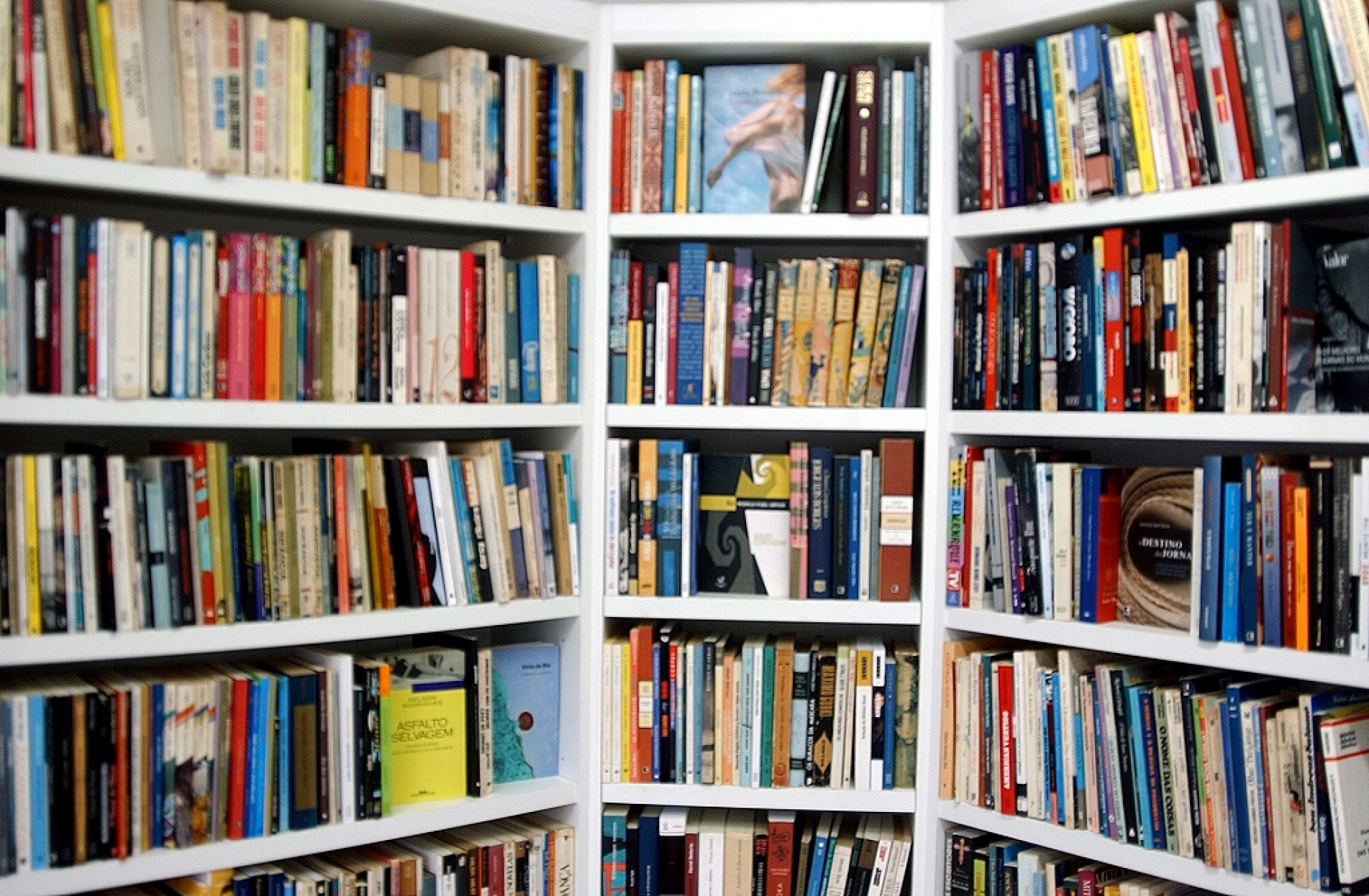 Interessados em participar têm até 10 de agosto para fazer inscrição