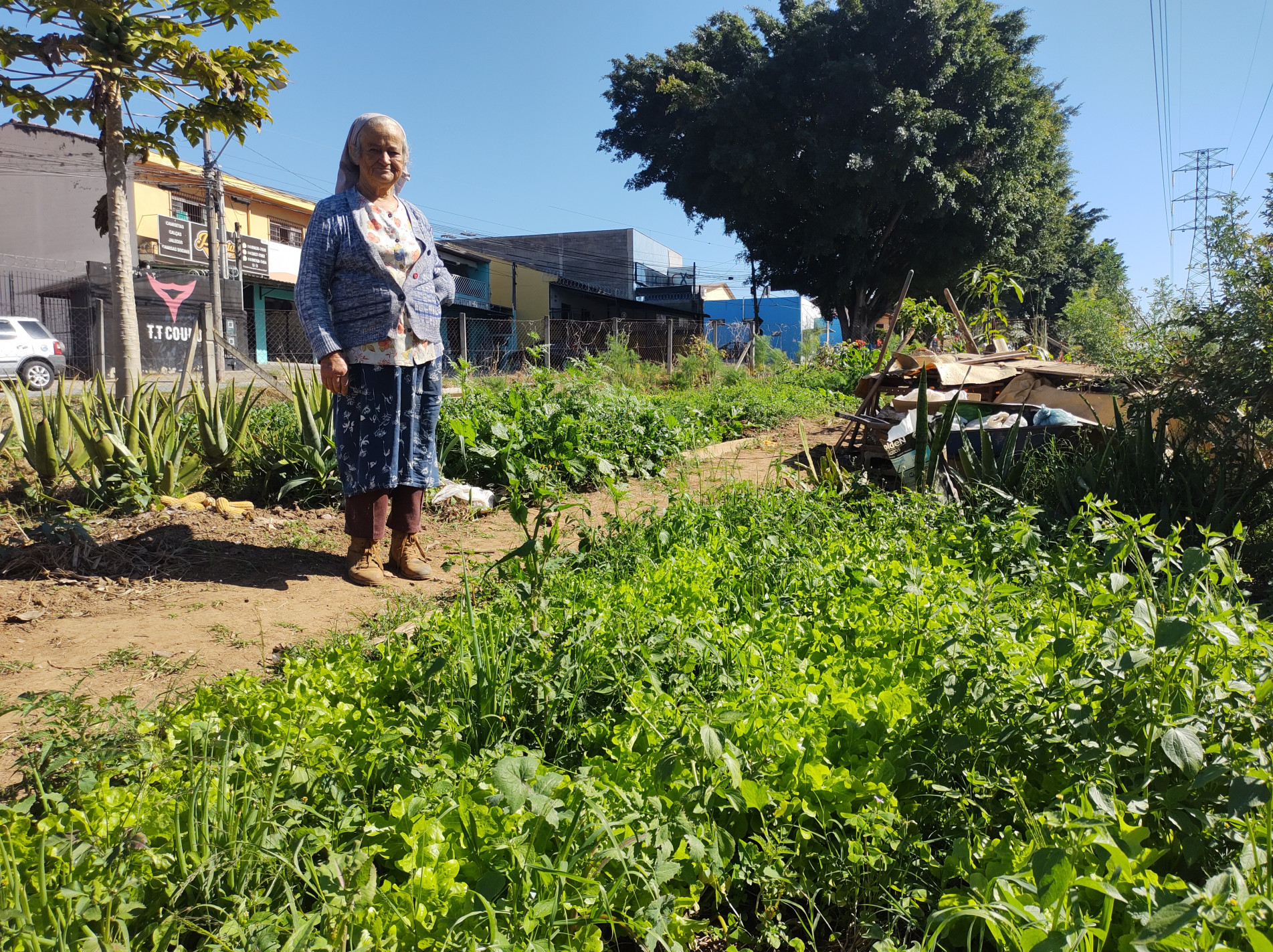 Dona Maria de Lourdes, de 89 anos, há 20 trabalha na horta da avenida Santa Cruz