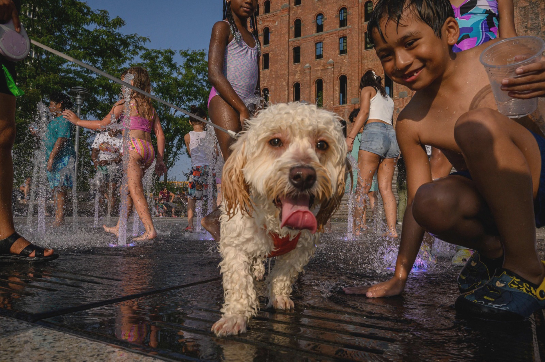 Vale tudo para derrotar o calor no Hemisfério Norte