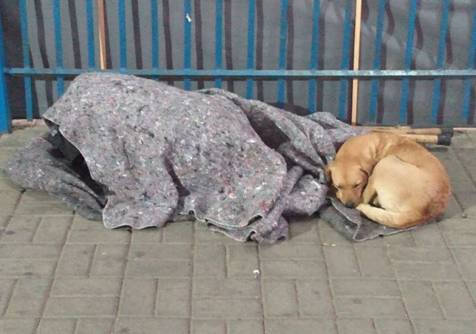 Projeto de lei do vereador Fábio Simoa será submetido à segunda discussão