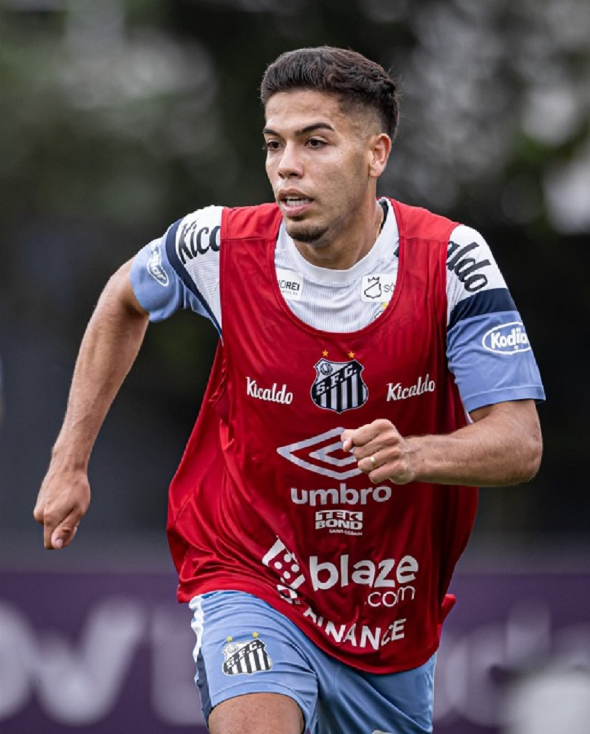 Meia já pode estrear
