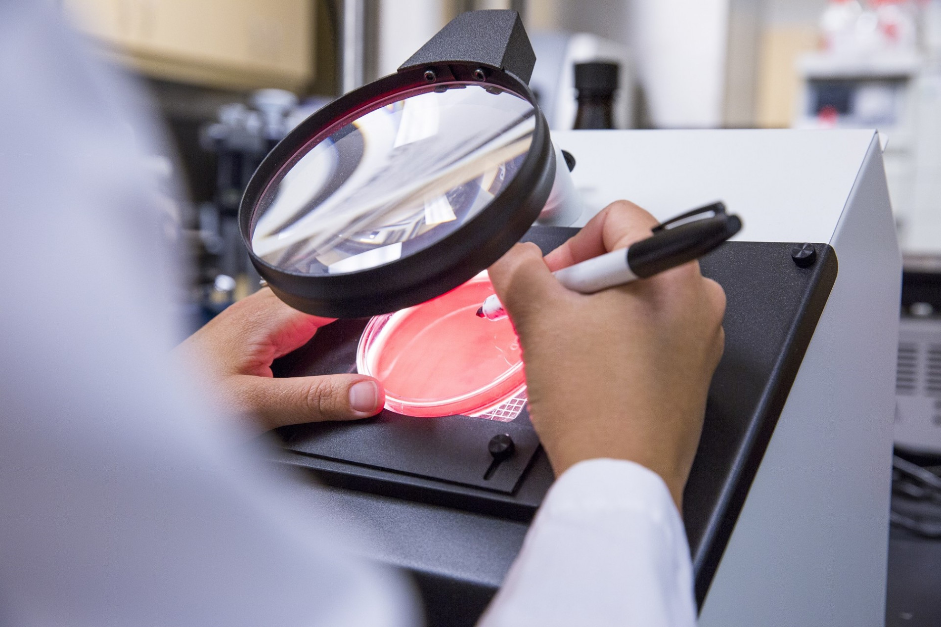 Voluntários receberão medicação ou placebo durante cinco dias
