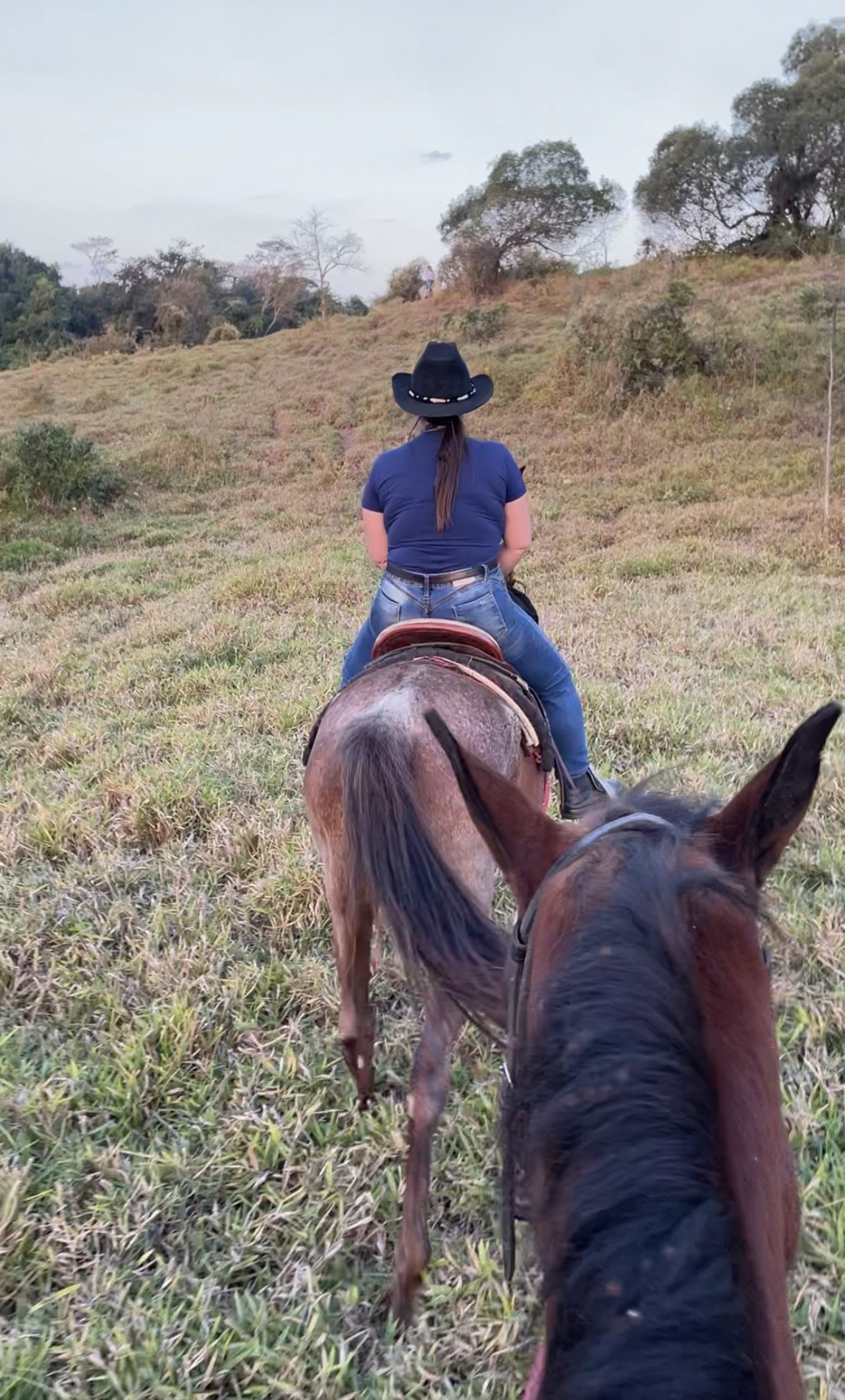 Fazenda Cabuçu – Tanabi