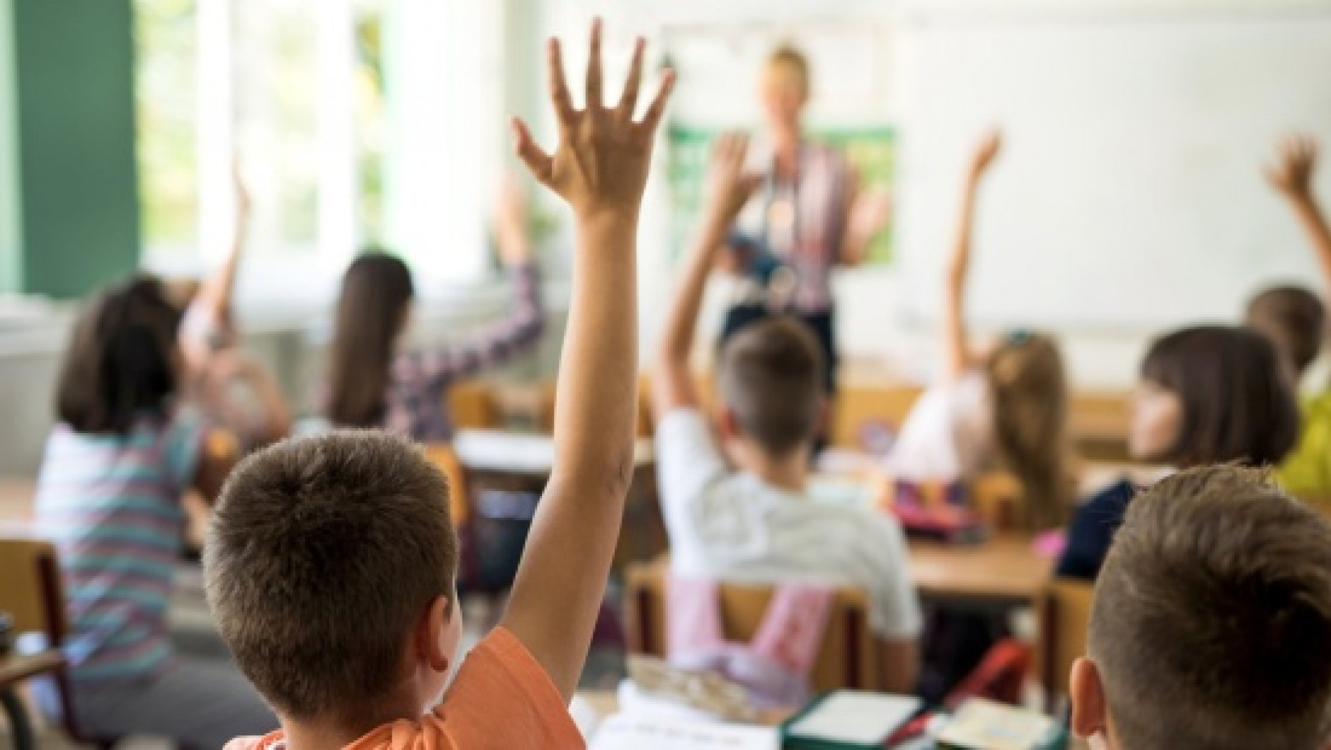 Material pedagógico específico será debatido antecipadamente com familiares dos alunos