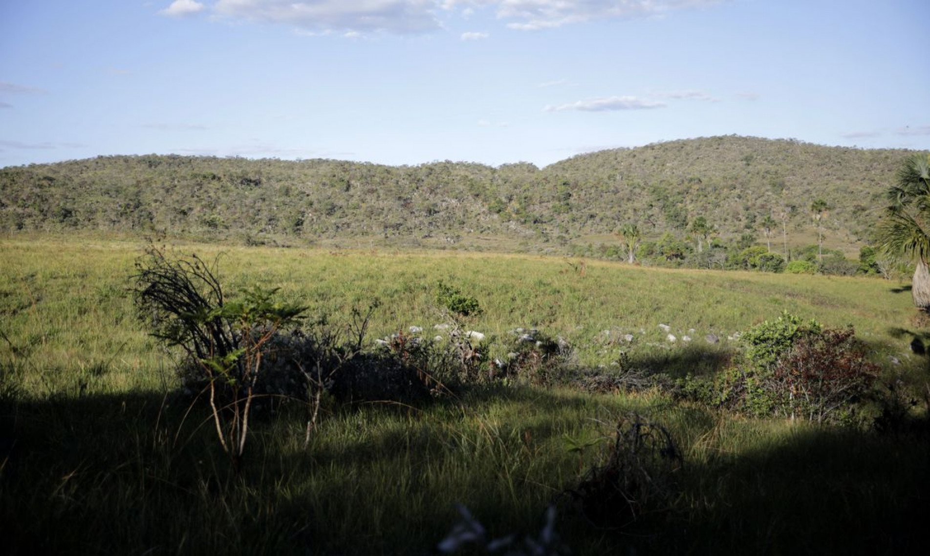  Vista do cerrado na Comunidade quilombola Kalunga do Engenho II