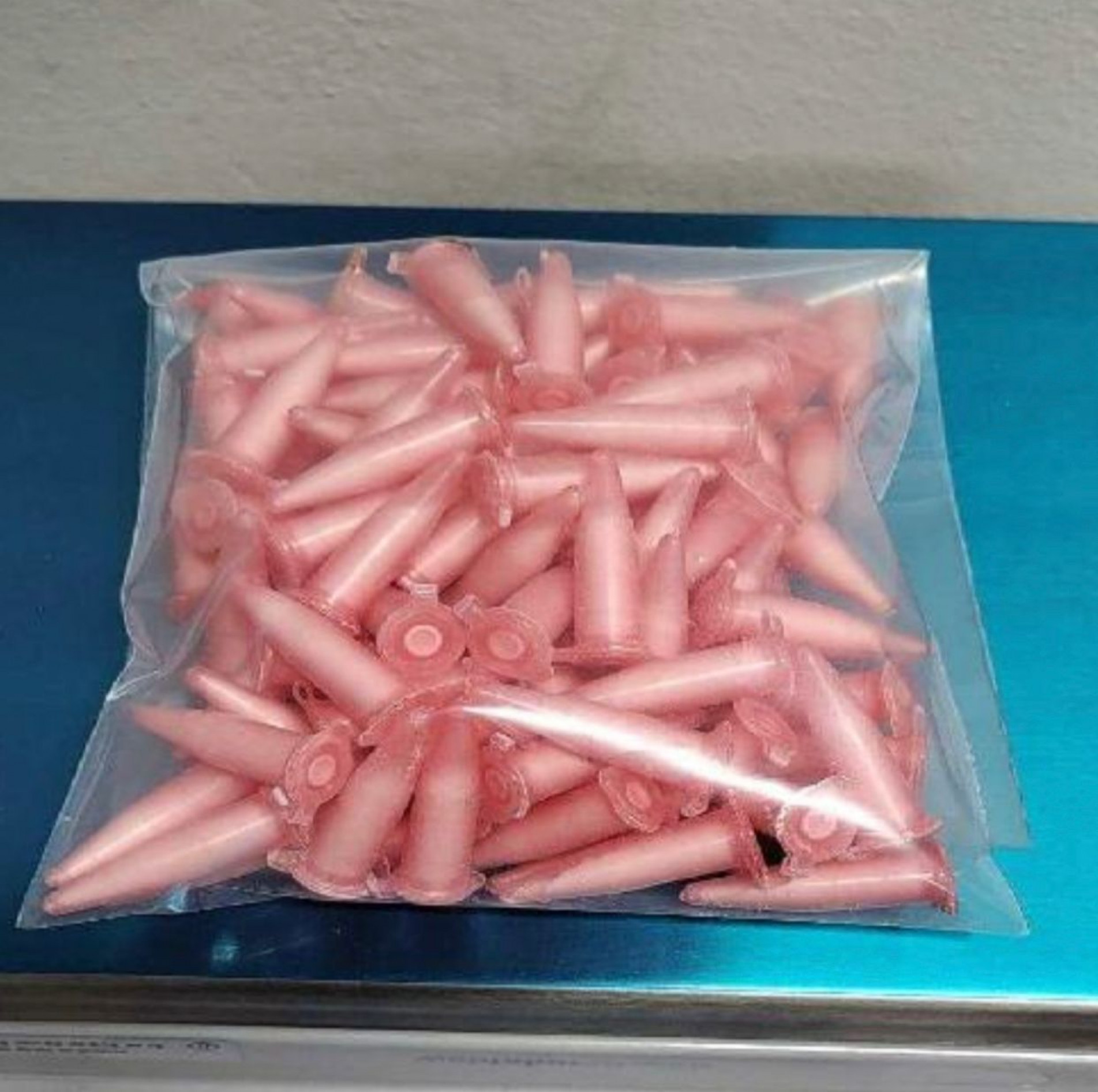 Drogas foram apreendidas