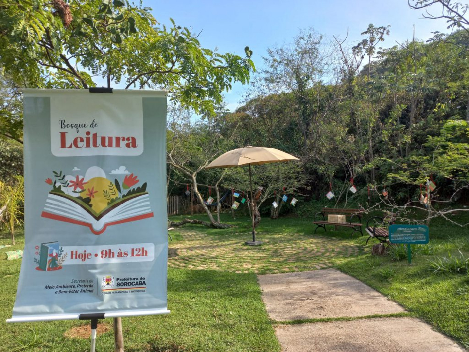 Os livros são distribuídos em um espaço sombreado, onde estão disponíveis também redes e bancos