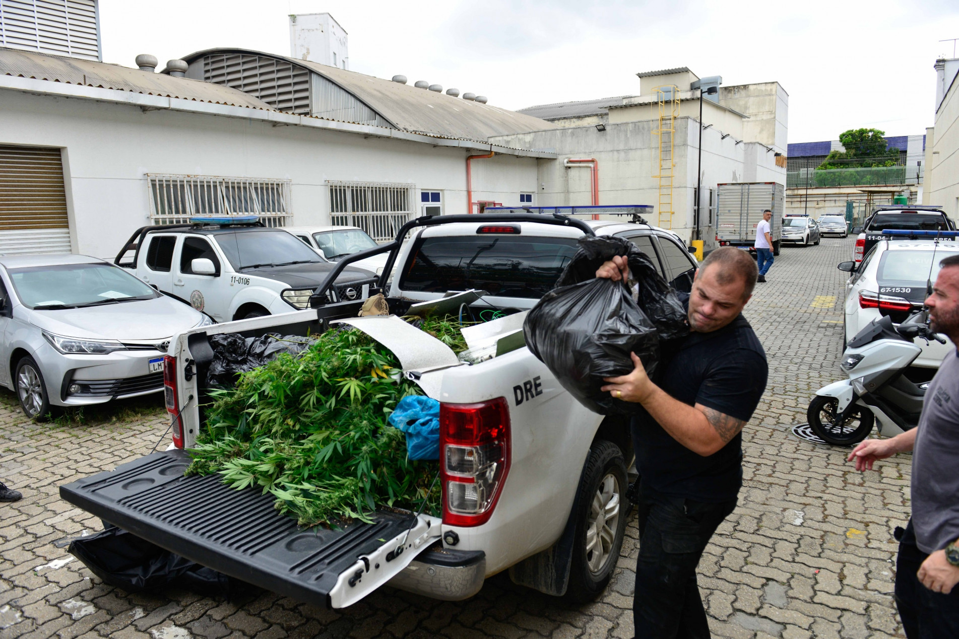 Policiais também apreenderam uma plantação de skunk 