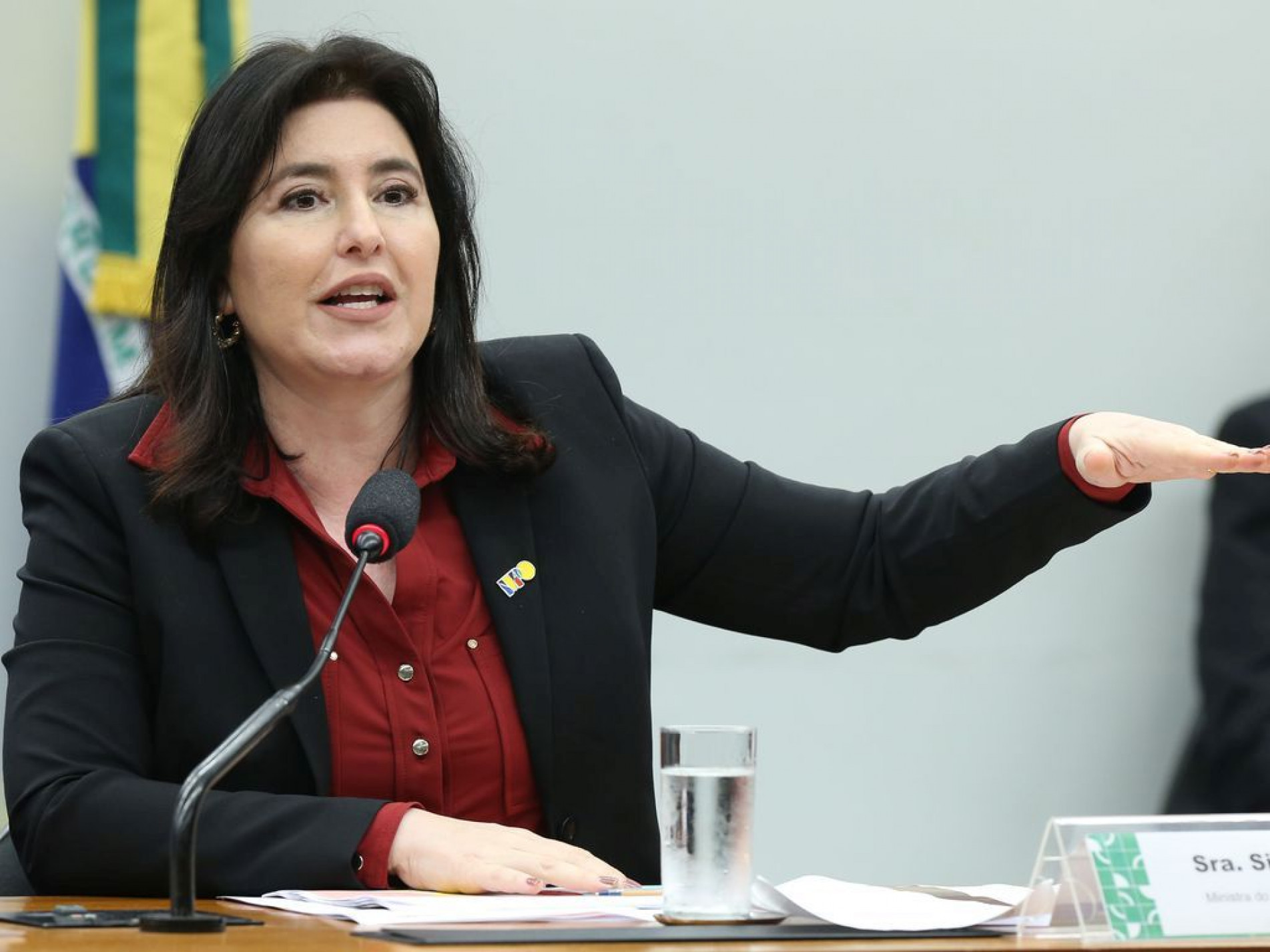 Comissão da Câmara aprovou convite à ministra 