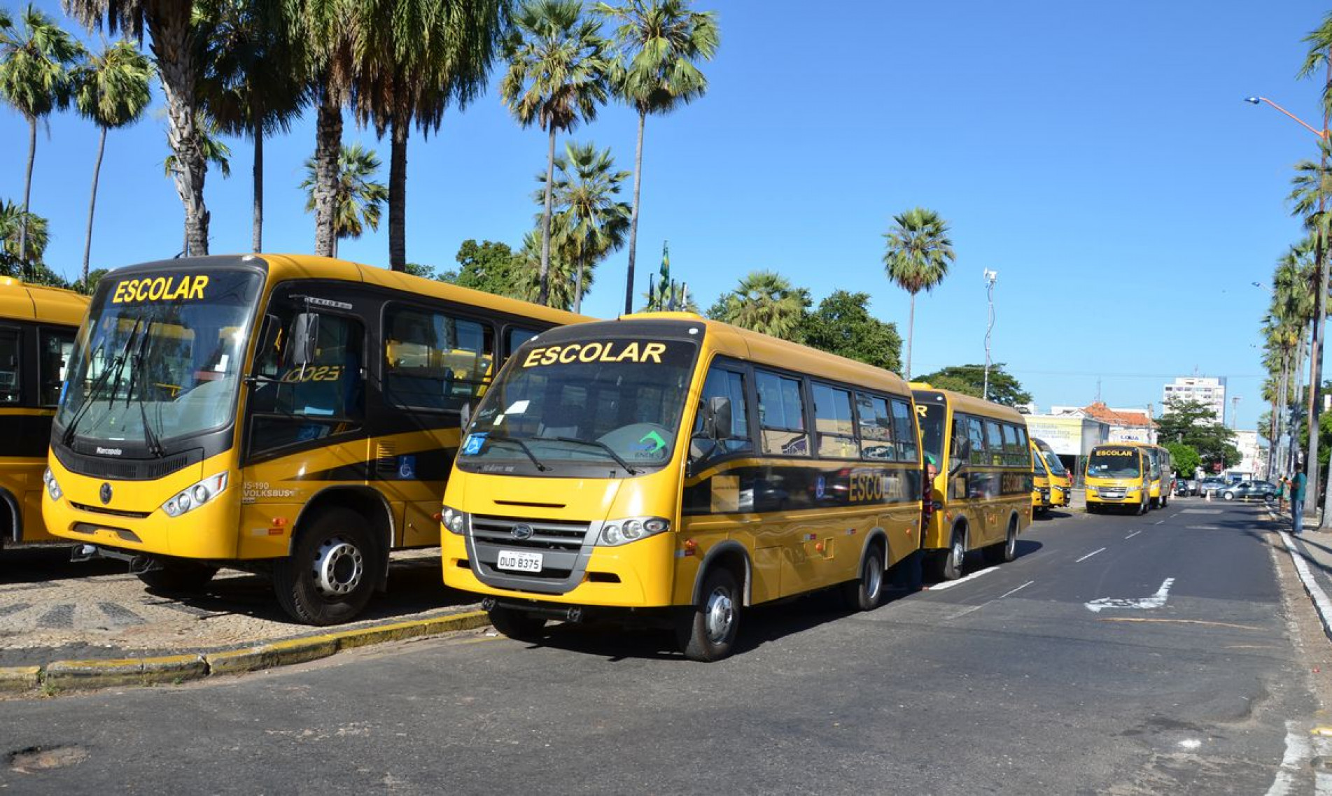 Pendências do transporte escolar devem ser regularizadas até amanhã