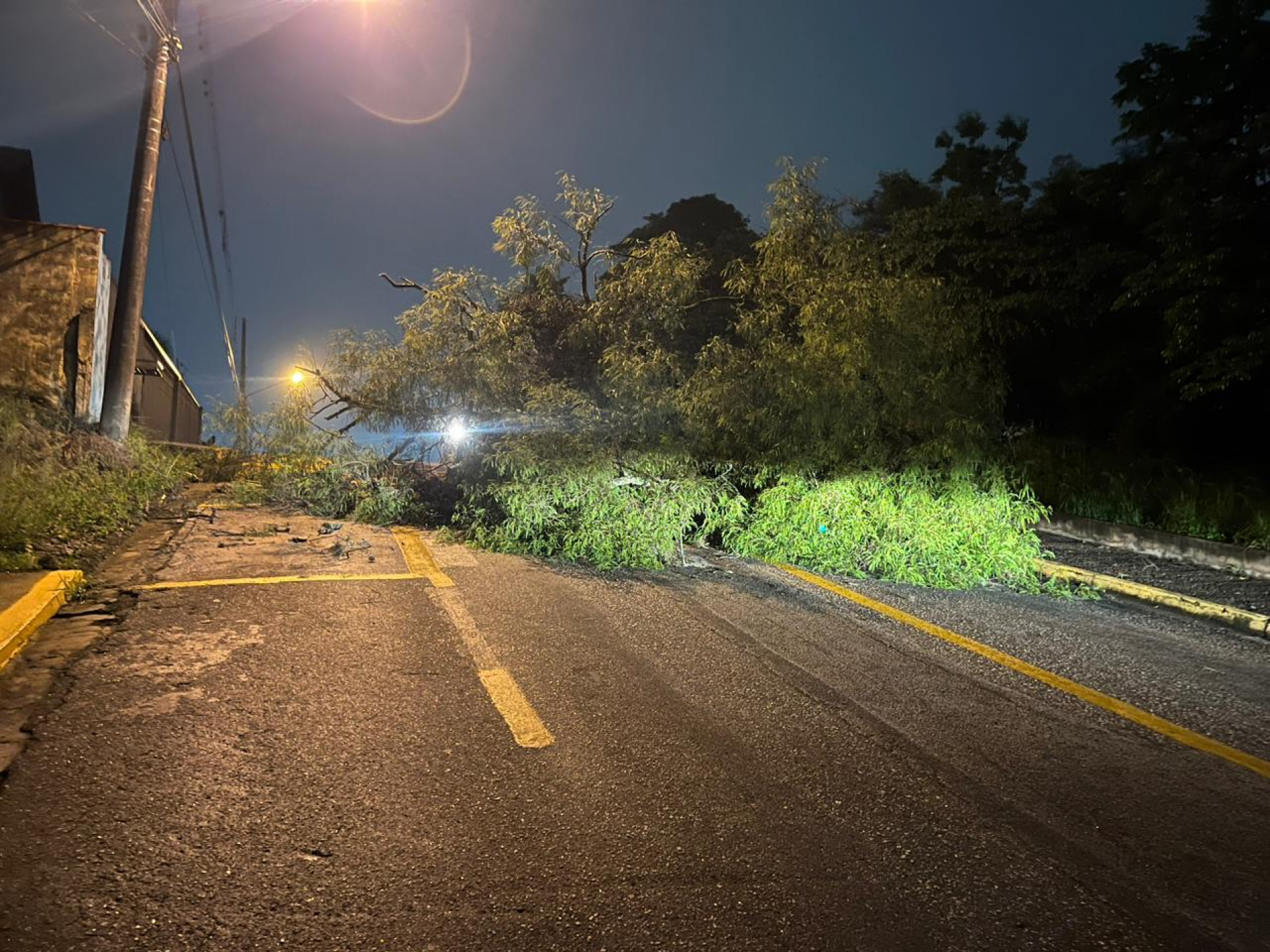 Quedas de árvores também foram registradas no município