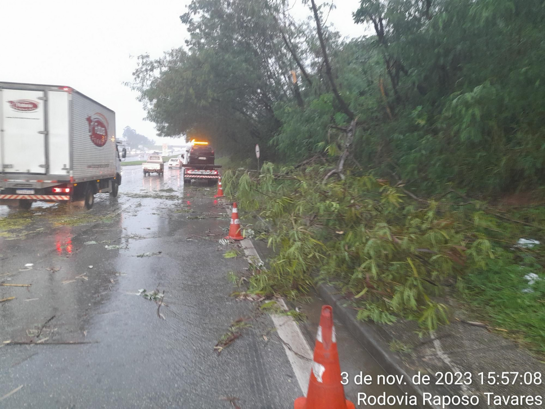 Com a remoção da árvore, os veículos conseguiram seguir o caminho na rodovia Raposo Tavares, quilômetro 101