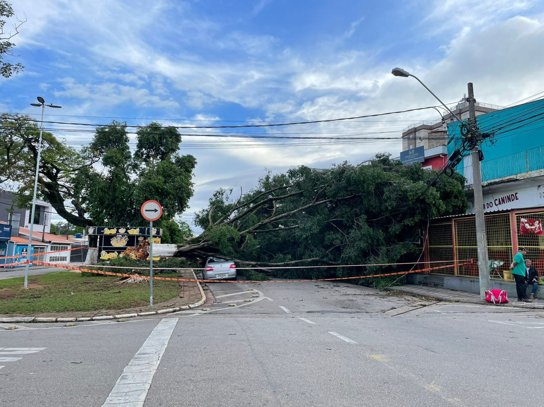 Árvore caída na rua Dr. Luiz Mendes de Almeida, no Largo do Divino, zona oeste de Sorocaba, na manhã deste sábado (4)
