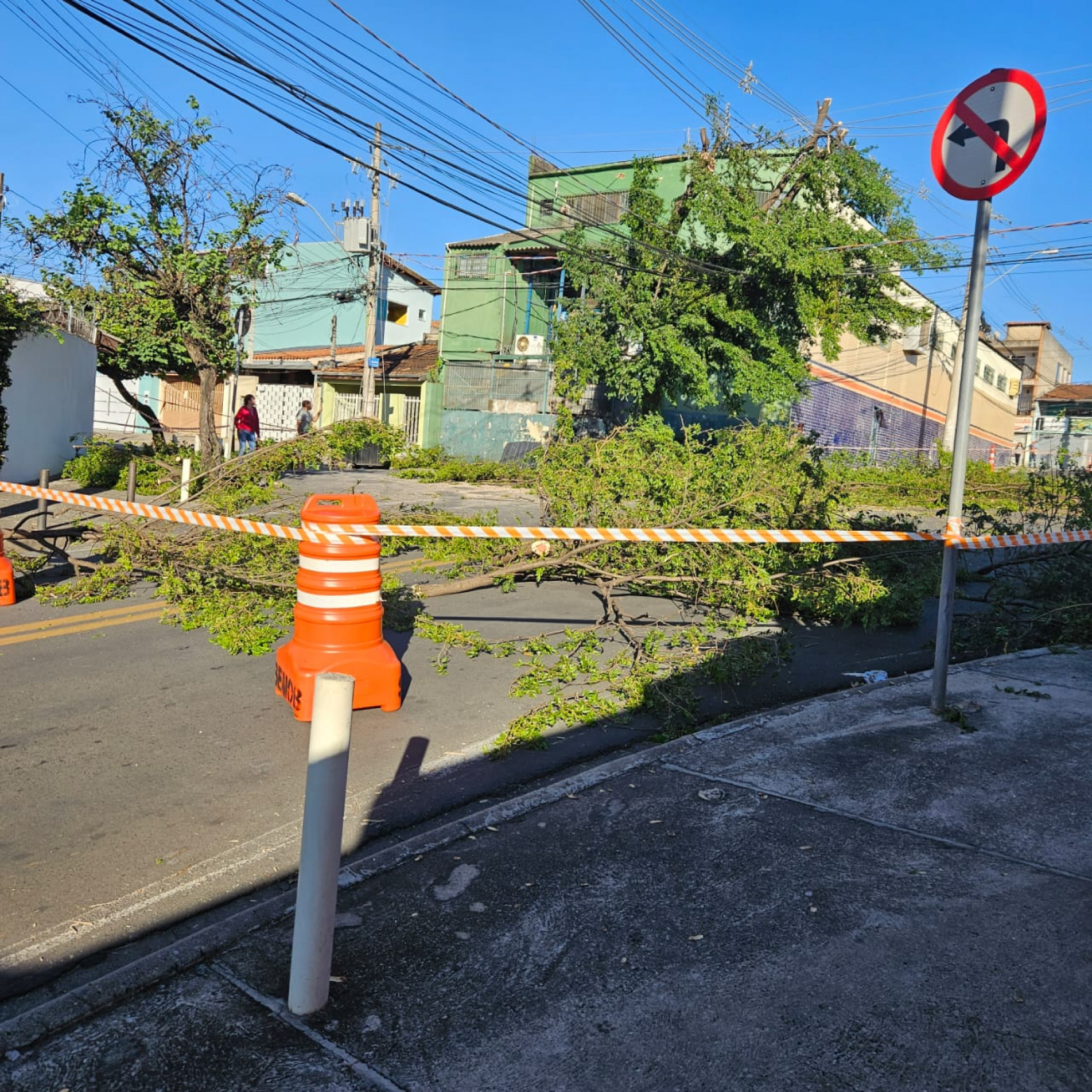 Na manhã deste domingo (5), cidade ainda tem árvores caídas nas ruas 