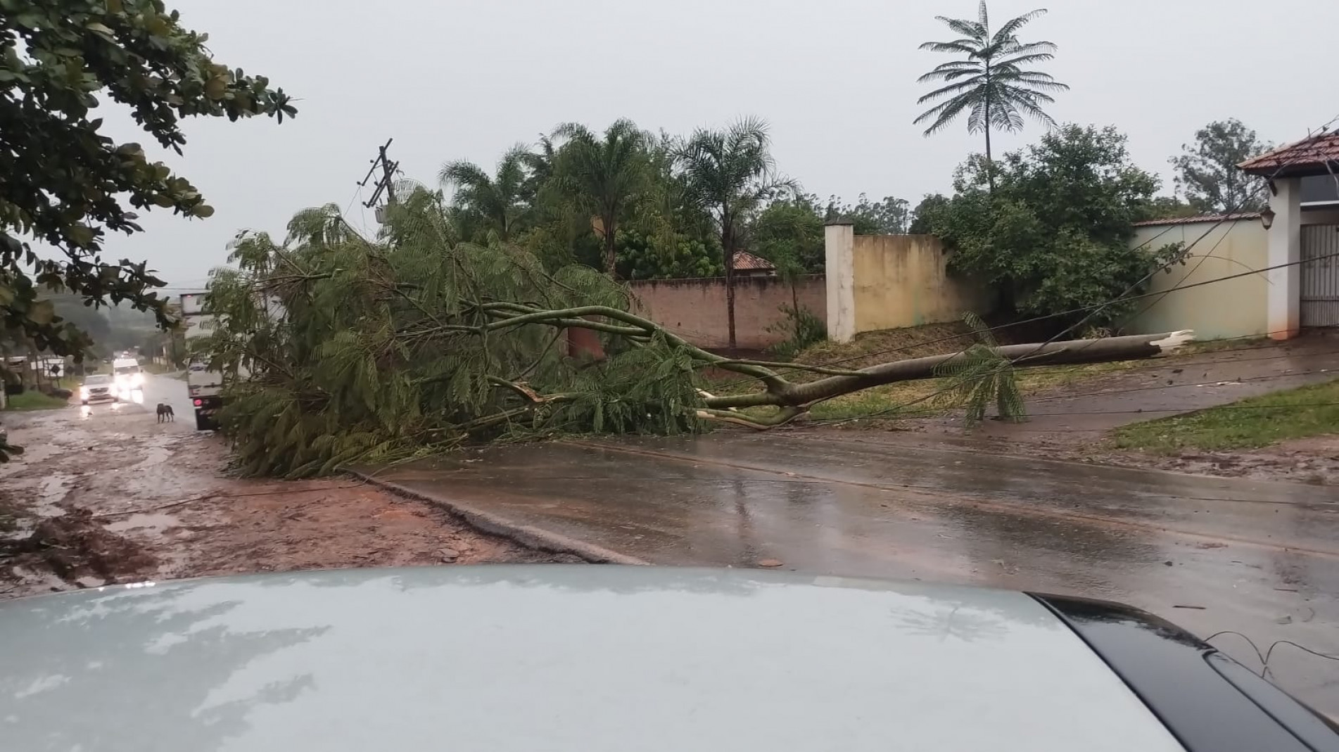 Iperó teve estragos provocados pela tempestade