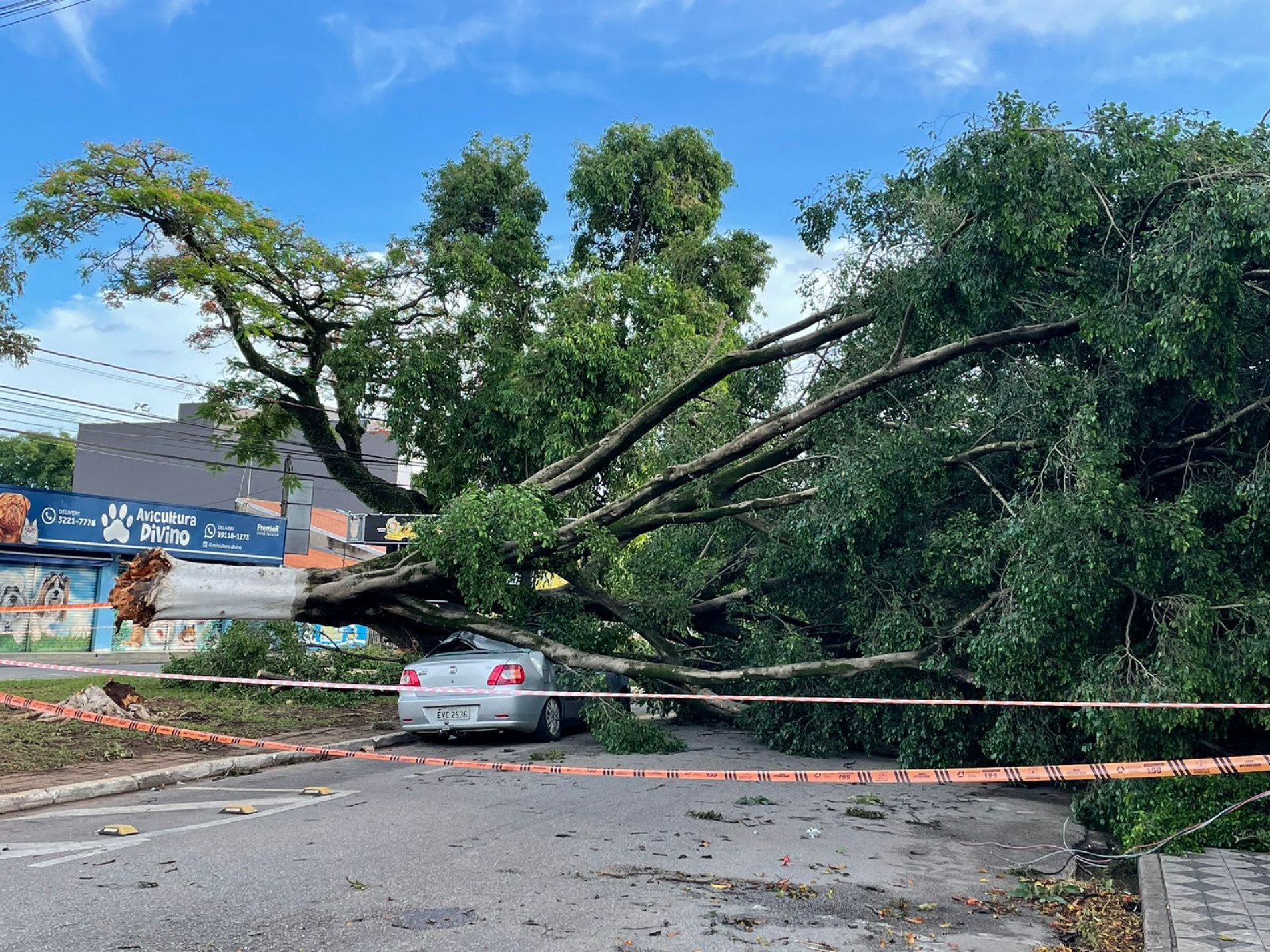 Governador quer que a Enel ressarça os prejudicados
