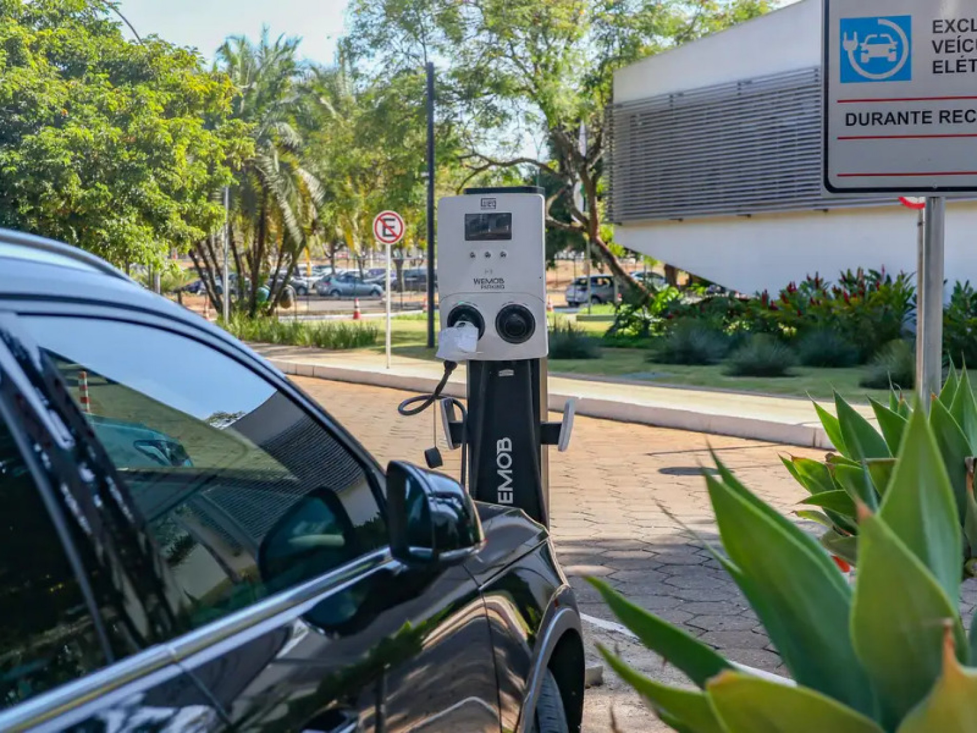 As alíquotas serão gradualmente recompostas até chegarem a 35% do valor de importação em julho de 2026