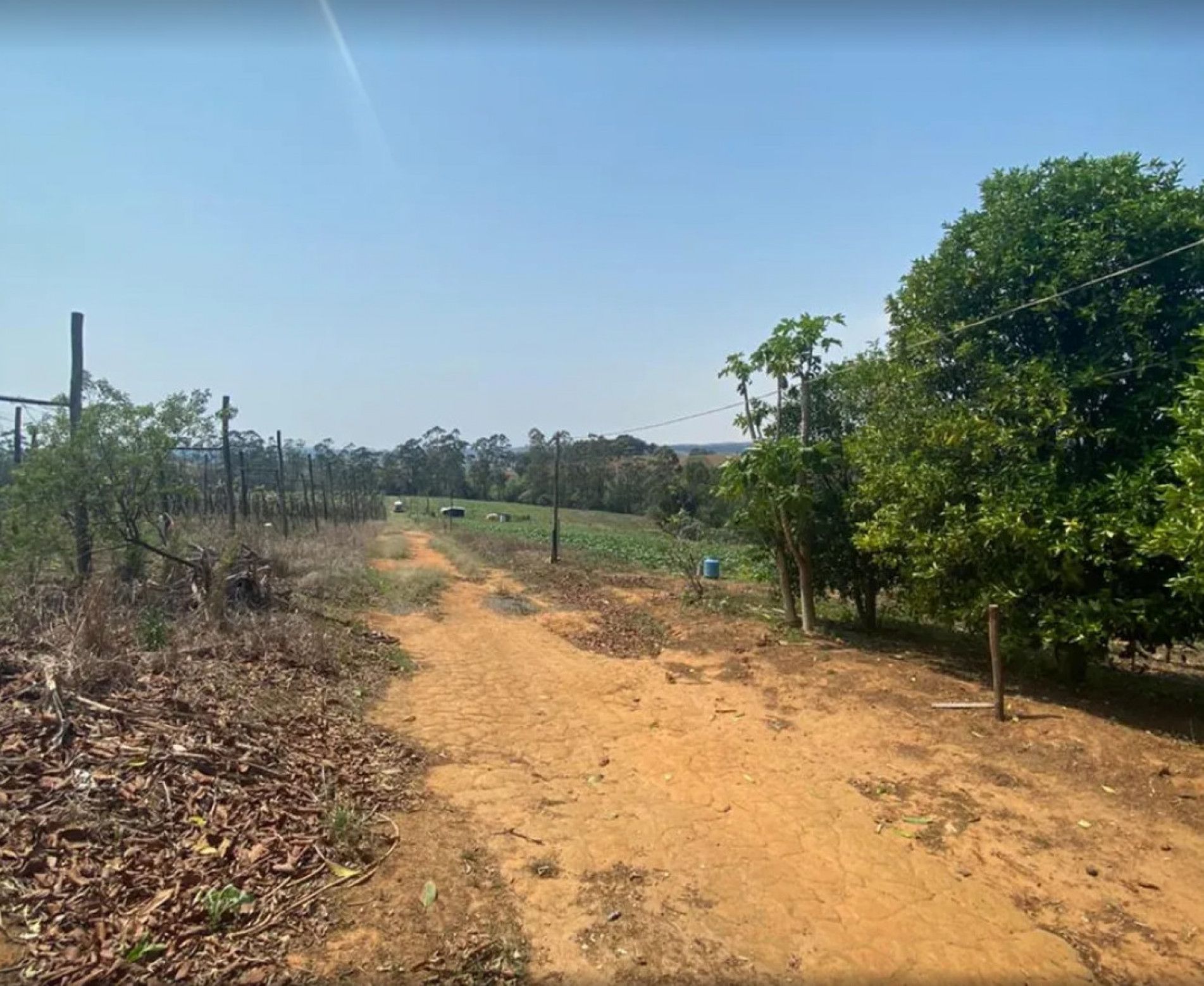 Vítima de falso corretor de imóveis construiu barraco em terreno em São Miguel Arcanjo