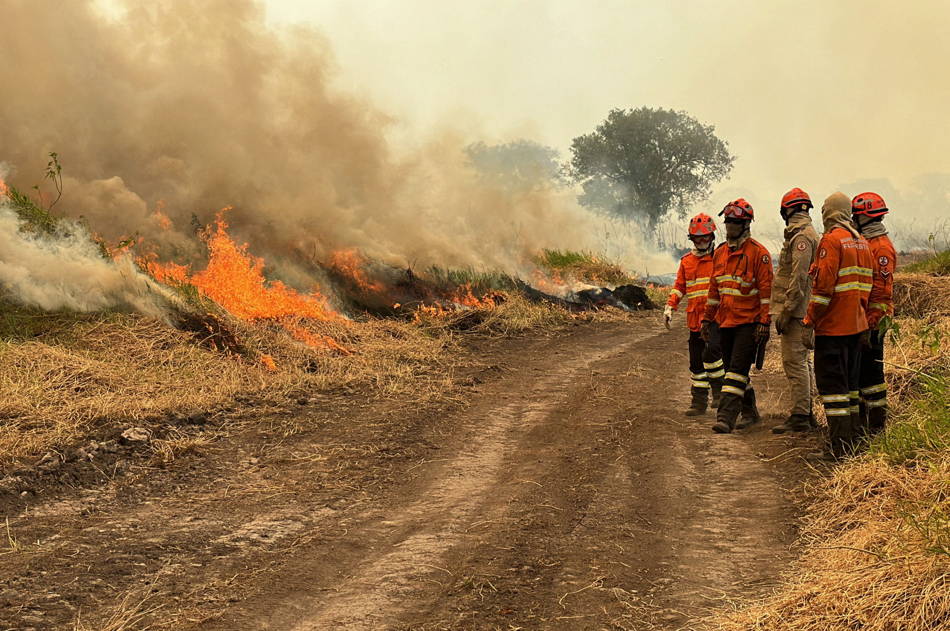 Bombeiros atuam em áreas de difícil acesso