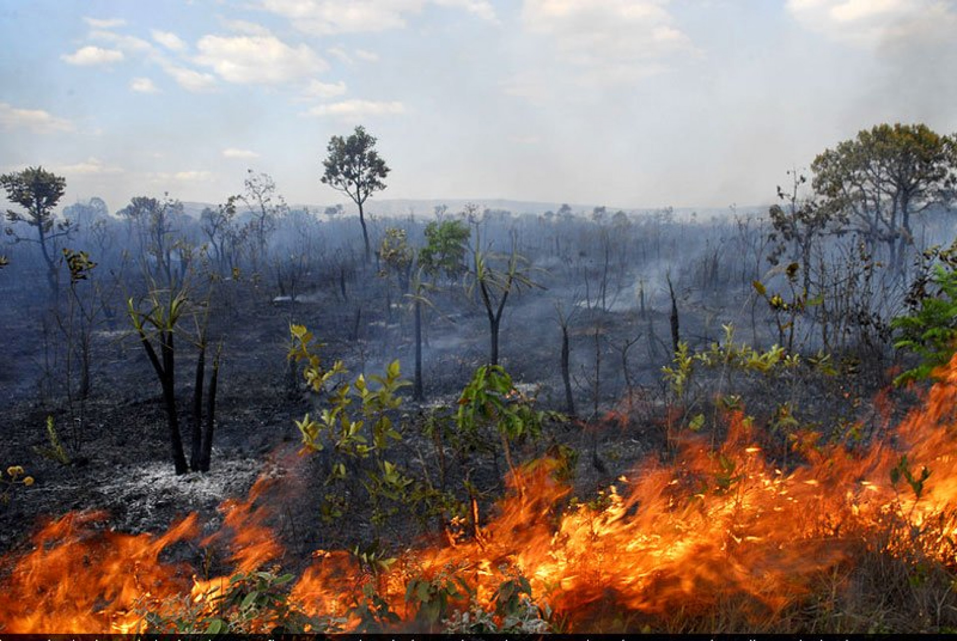 Enfrentar o desmatamento da Amazônia é uma das questões urgentes