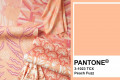 Peach fuzz - a cor de 2024  - Reprodução/Divulgação/Pantone
