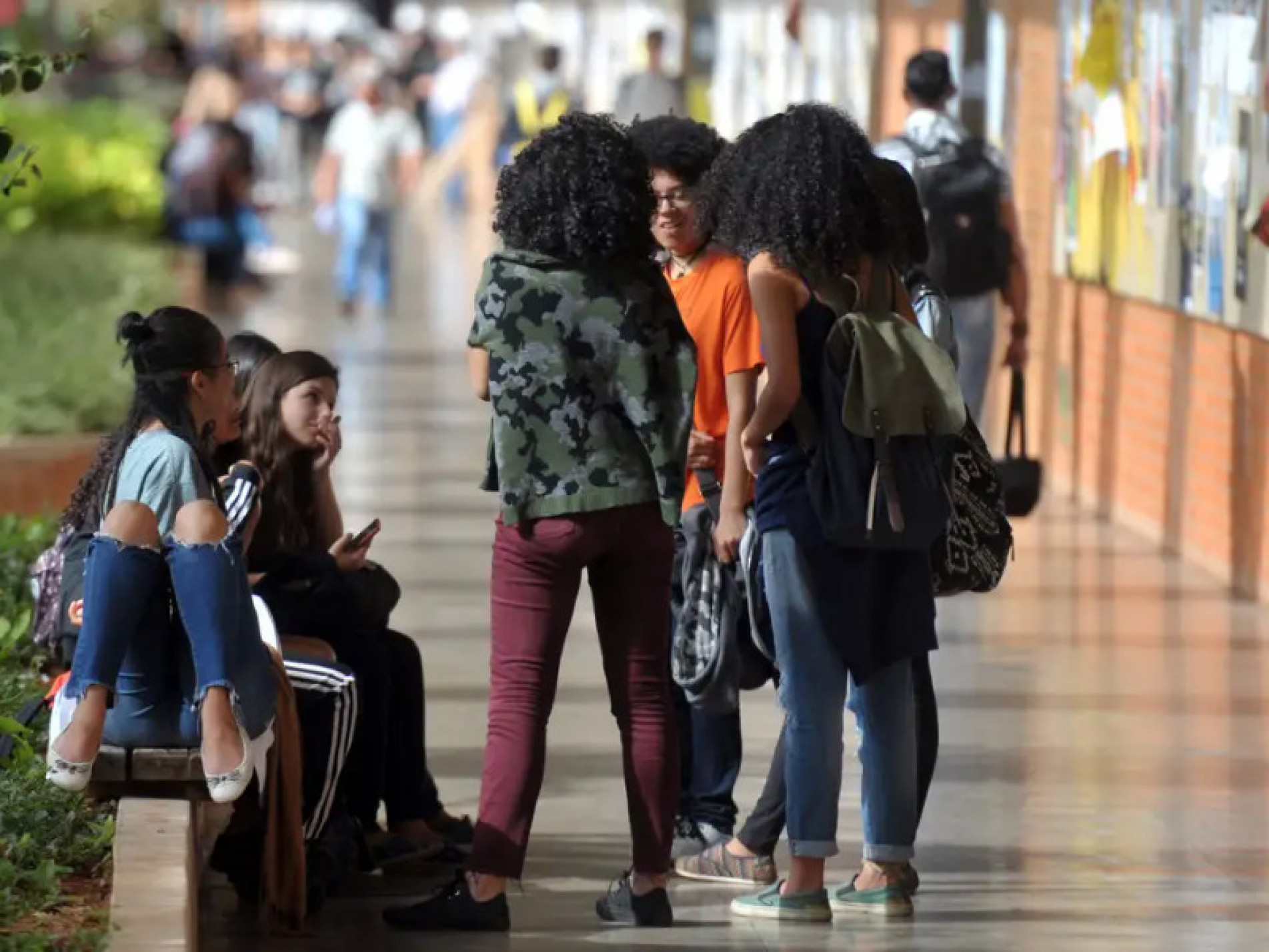 Esse é um dos dados destacados pelo Centro de Estudos e Dados sobre Desigualdades Raciais (Cedra)