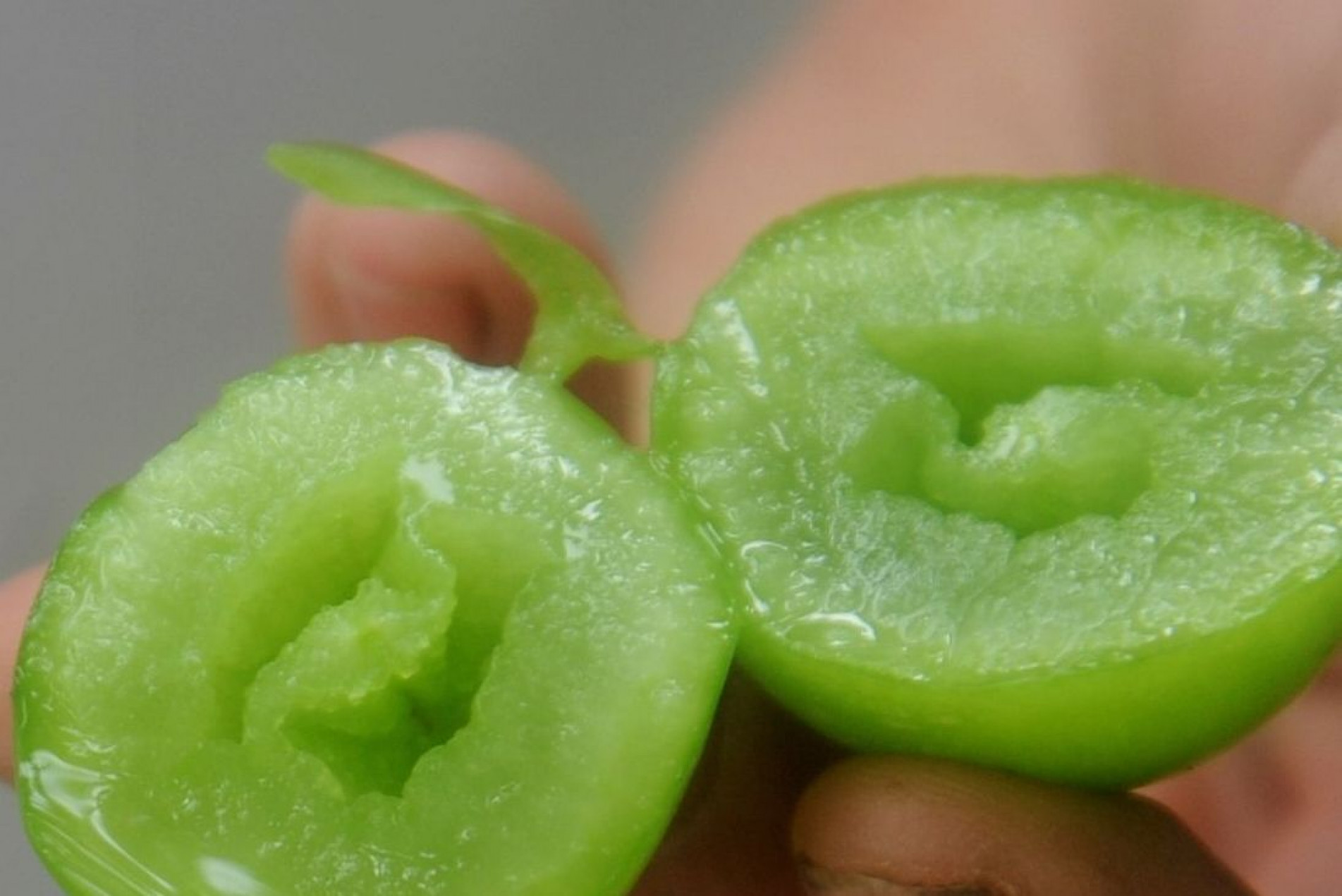 A uva Moscato é para mesa e paladares requintados. Ela é verde, doce, graúda e sem semente