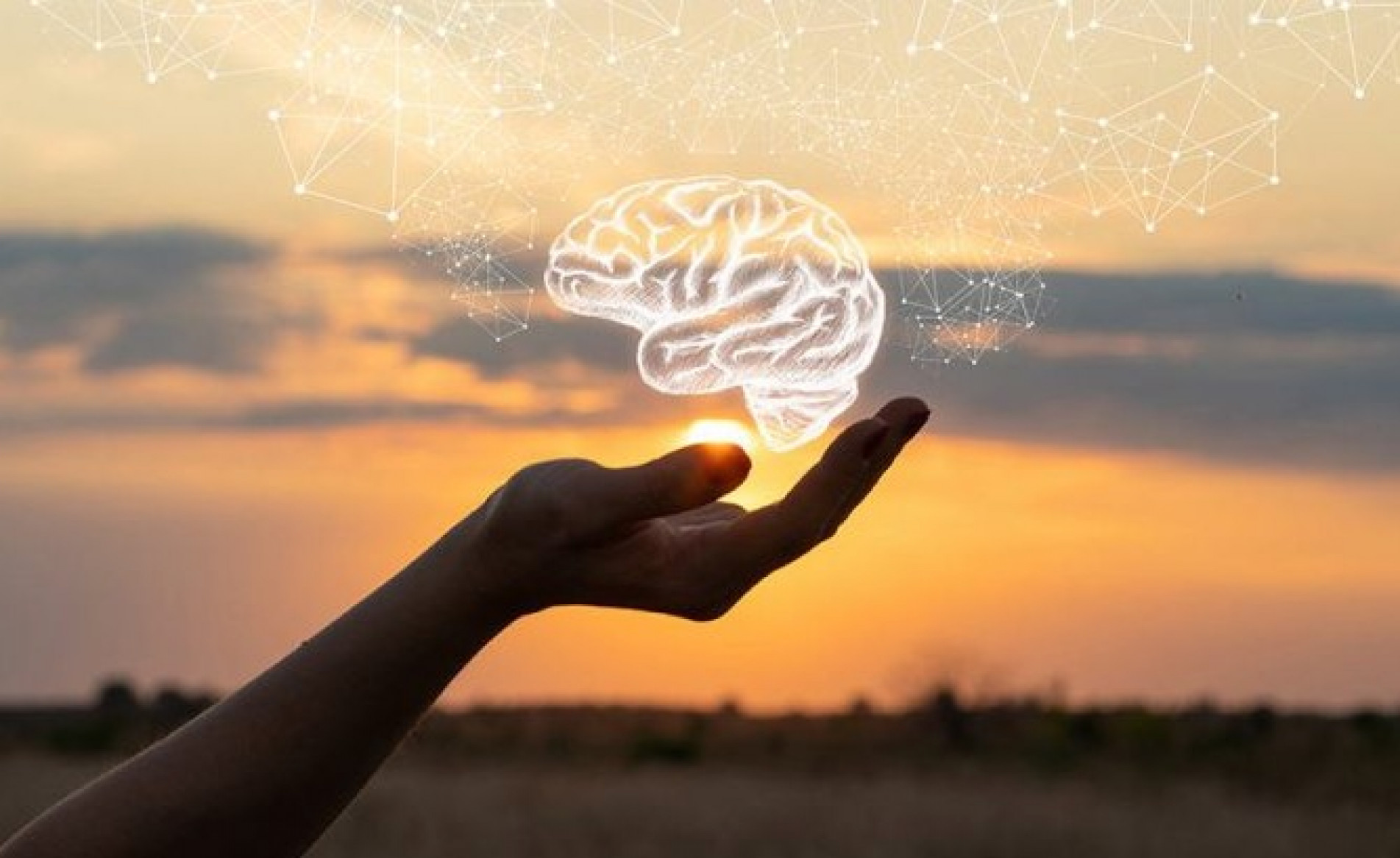 Especialistas revelam 4 dicas científicas para manter o conforto emocional neste período