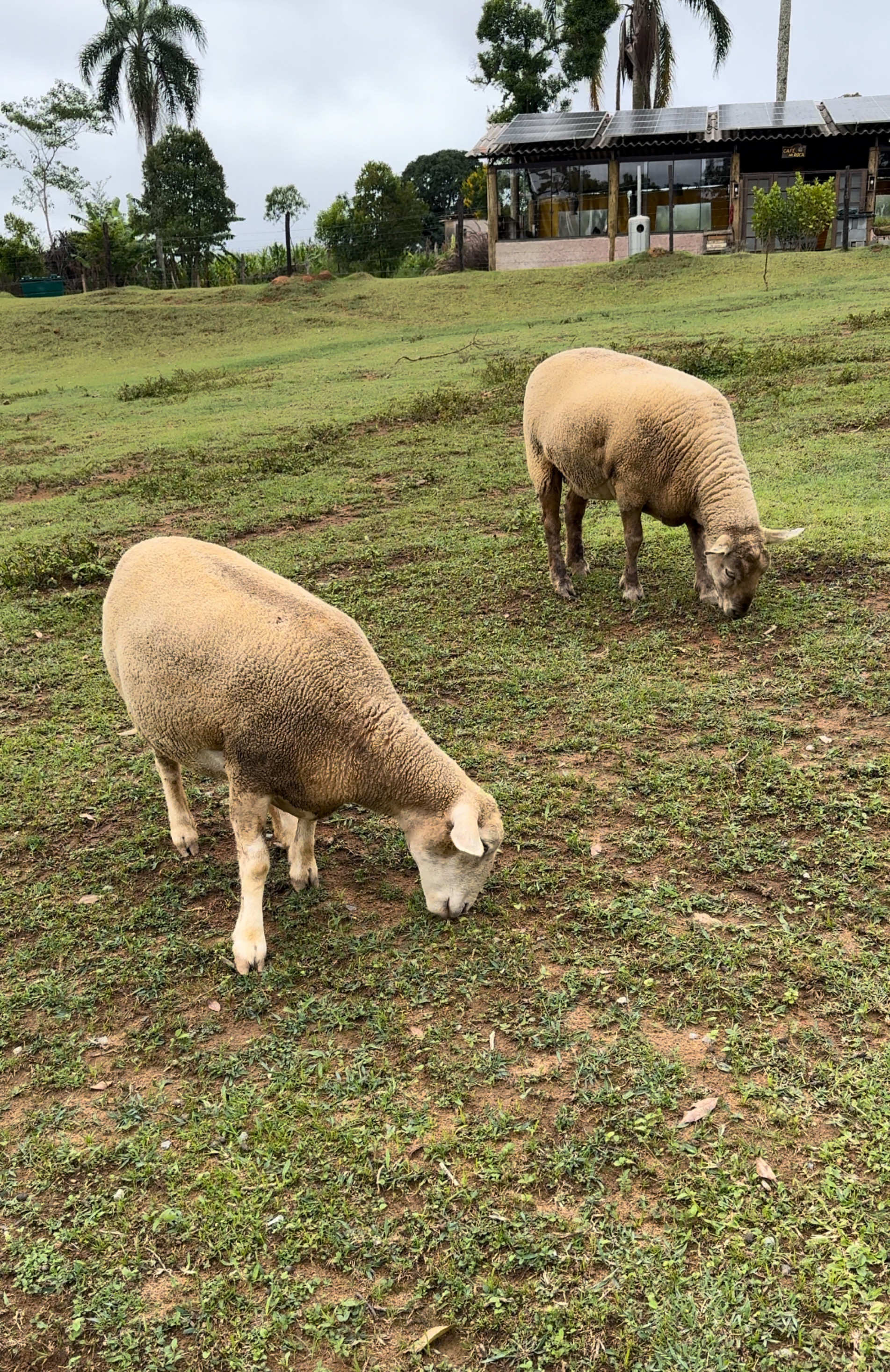 Turismo rural também atrai turistas a São Roque