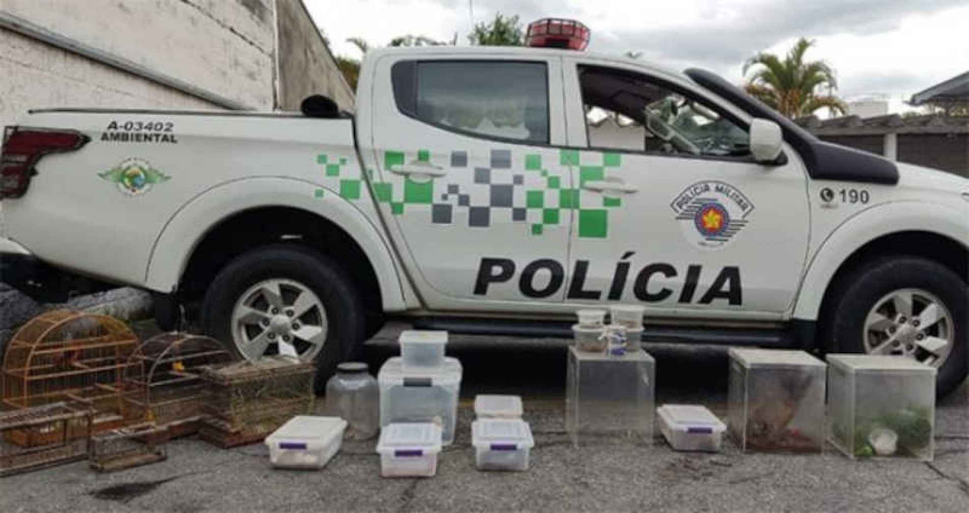 Também houve aumento nas inspeções de pesca, ações em áreas rurais e nos autos de infração