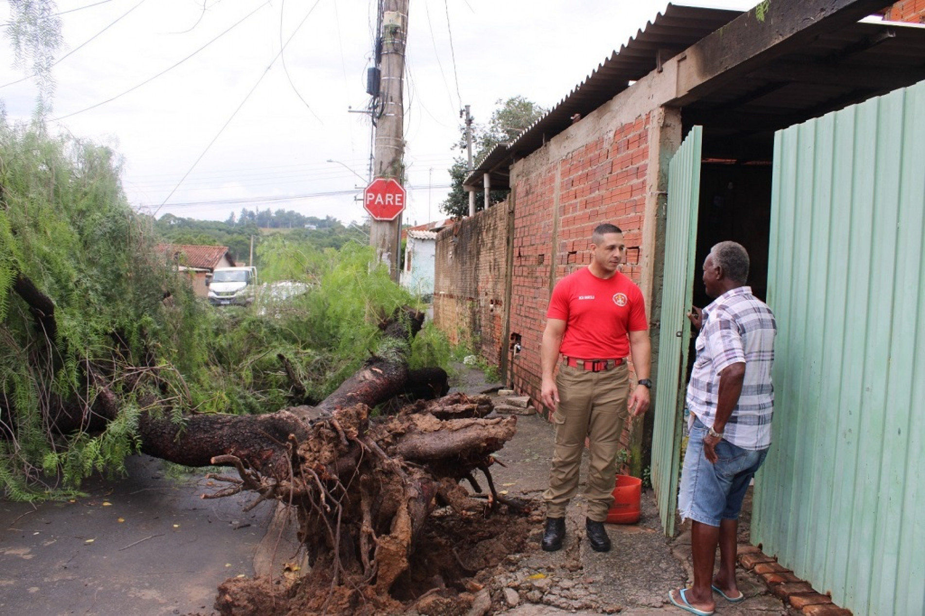 Defesa Civil registrou queda de dez árvores e destelhamento de três imóveis